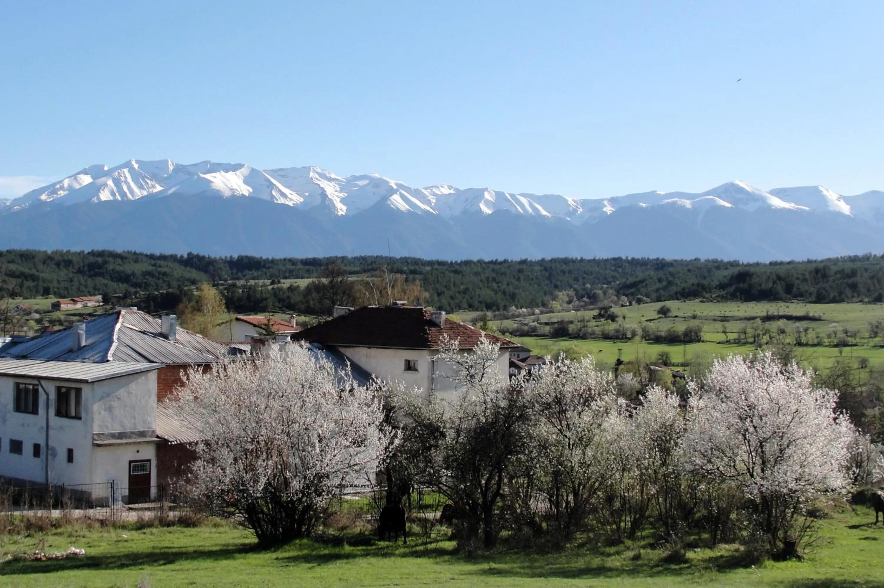 Area and facilities in Predela 2 Aparthotel