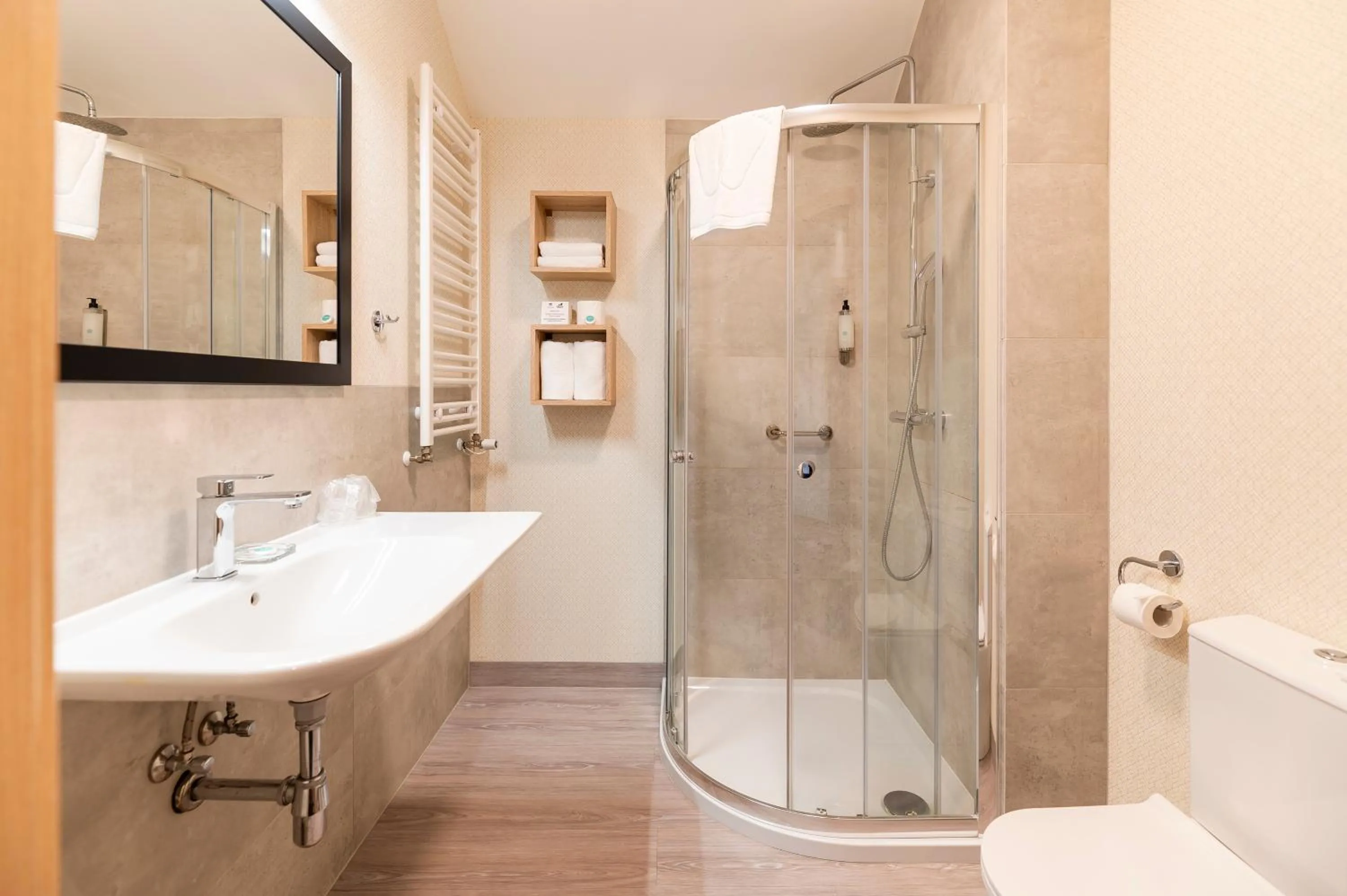 Shower in Ignasiak Hotel