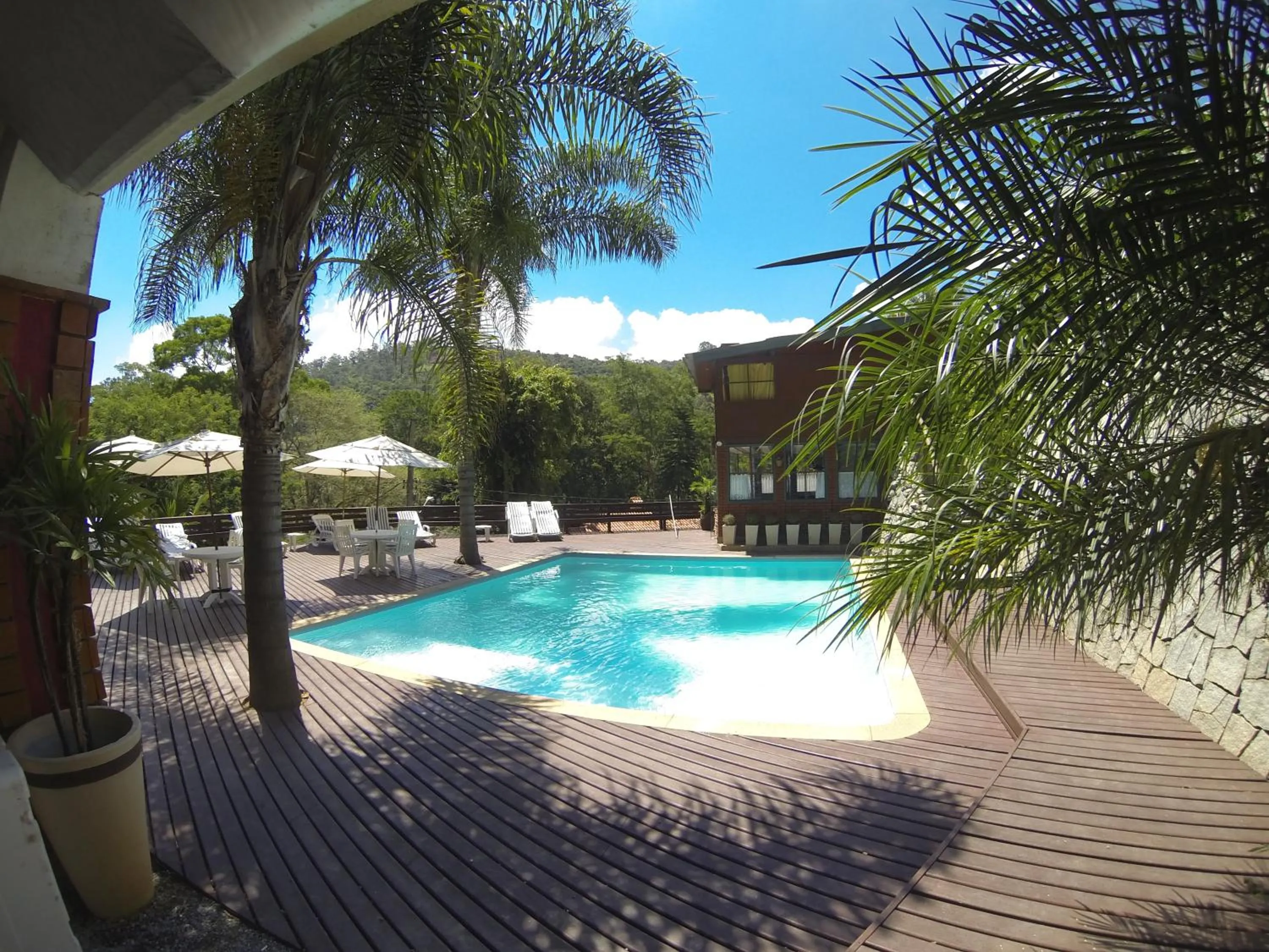 Swimming pool in Wood House