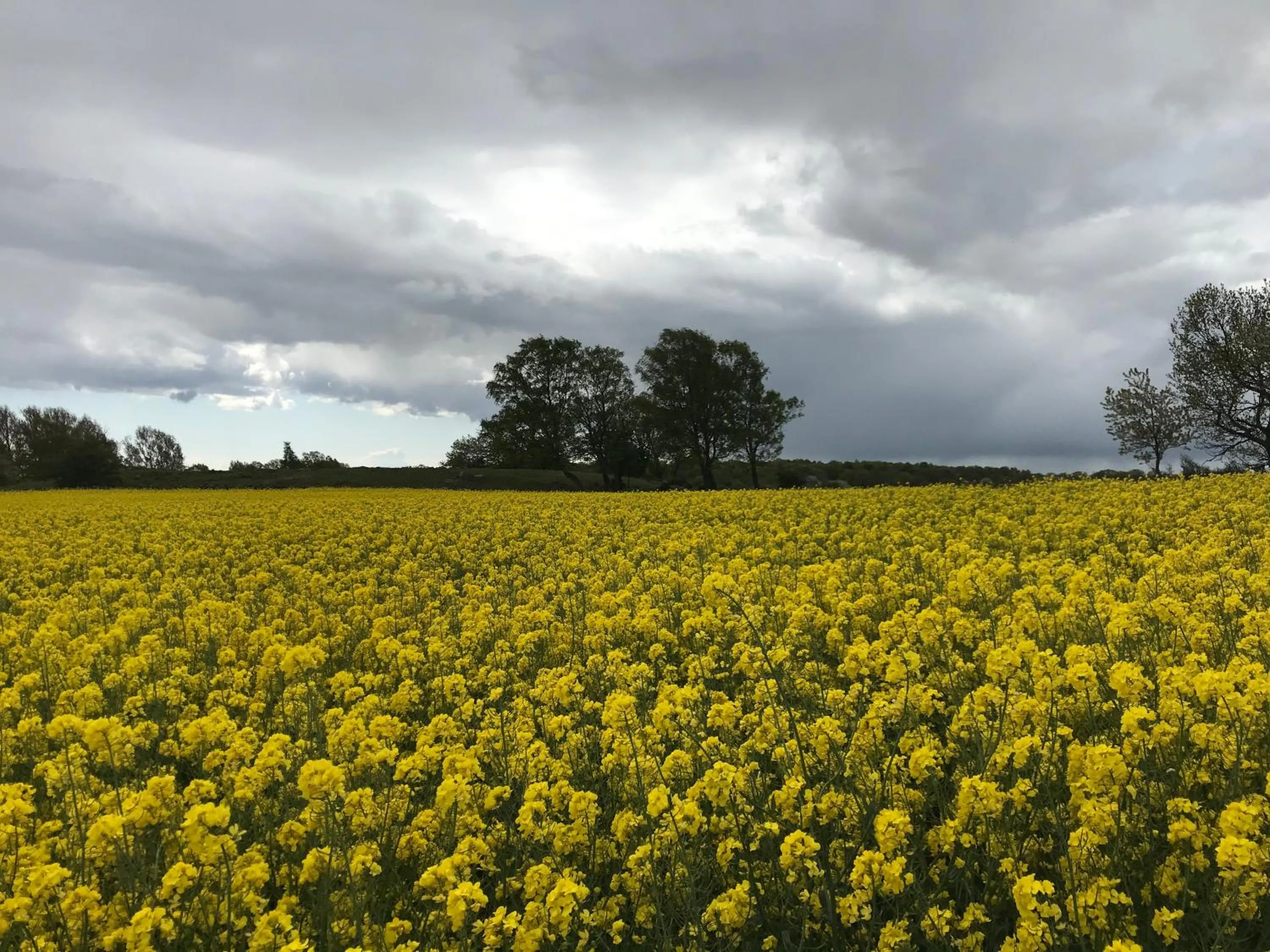 Mellby 11 Bed & Breakfast