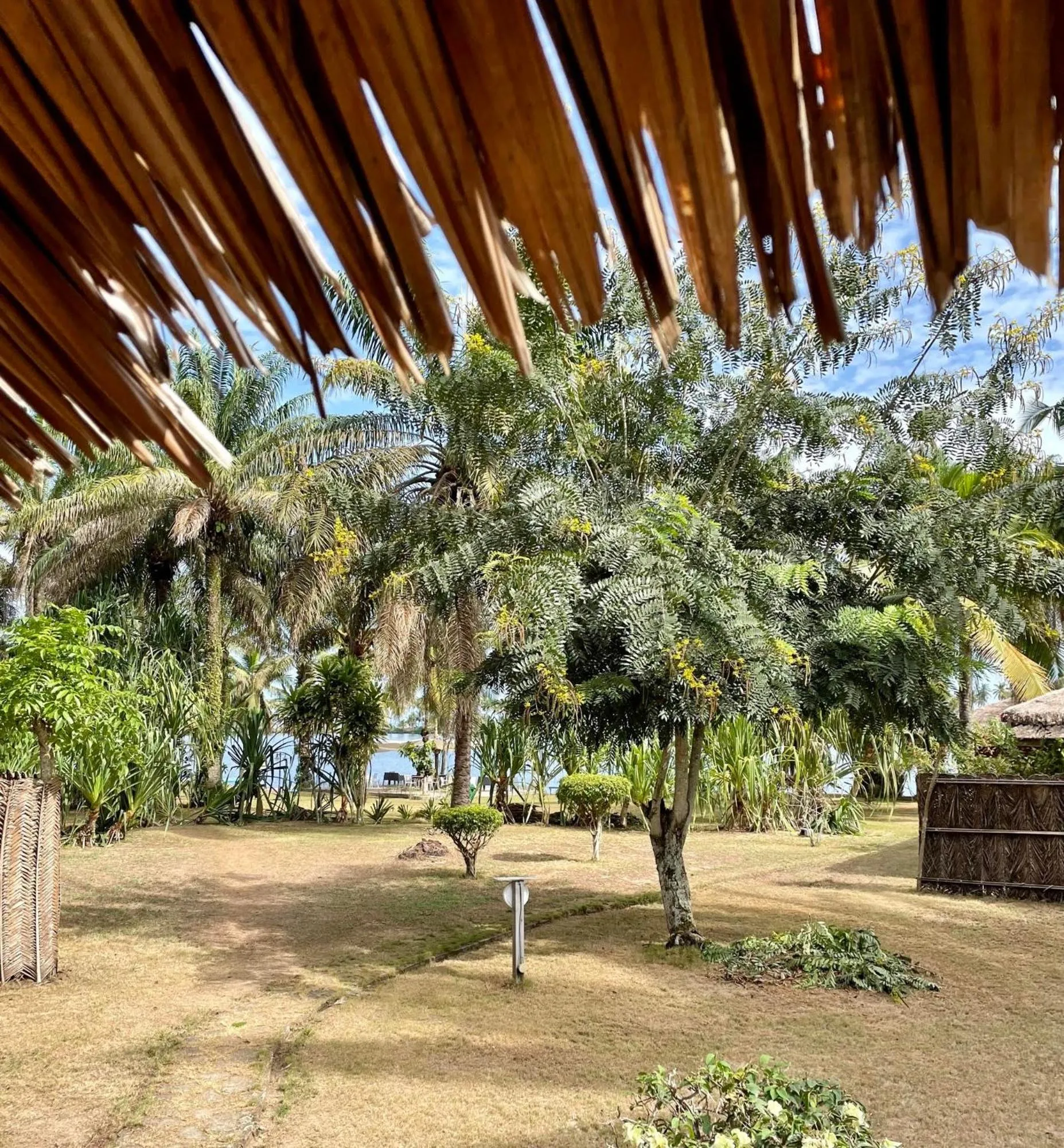 Garden view in African Queen Lodge