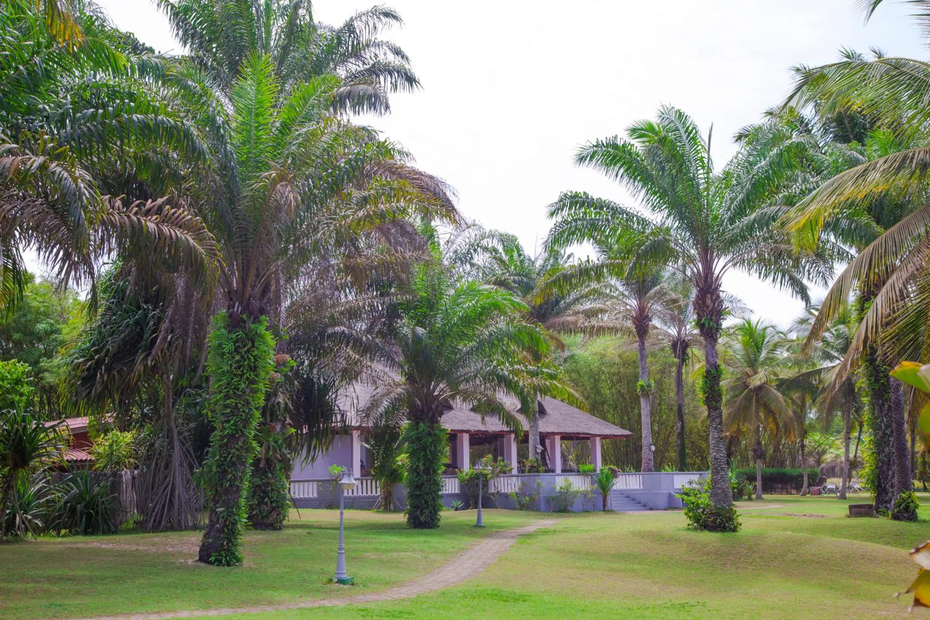 Property building in African Queen Lodge