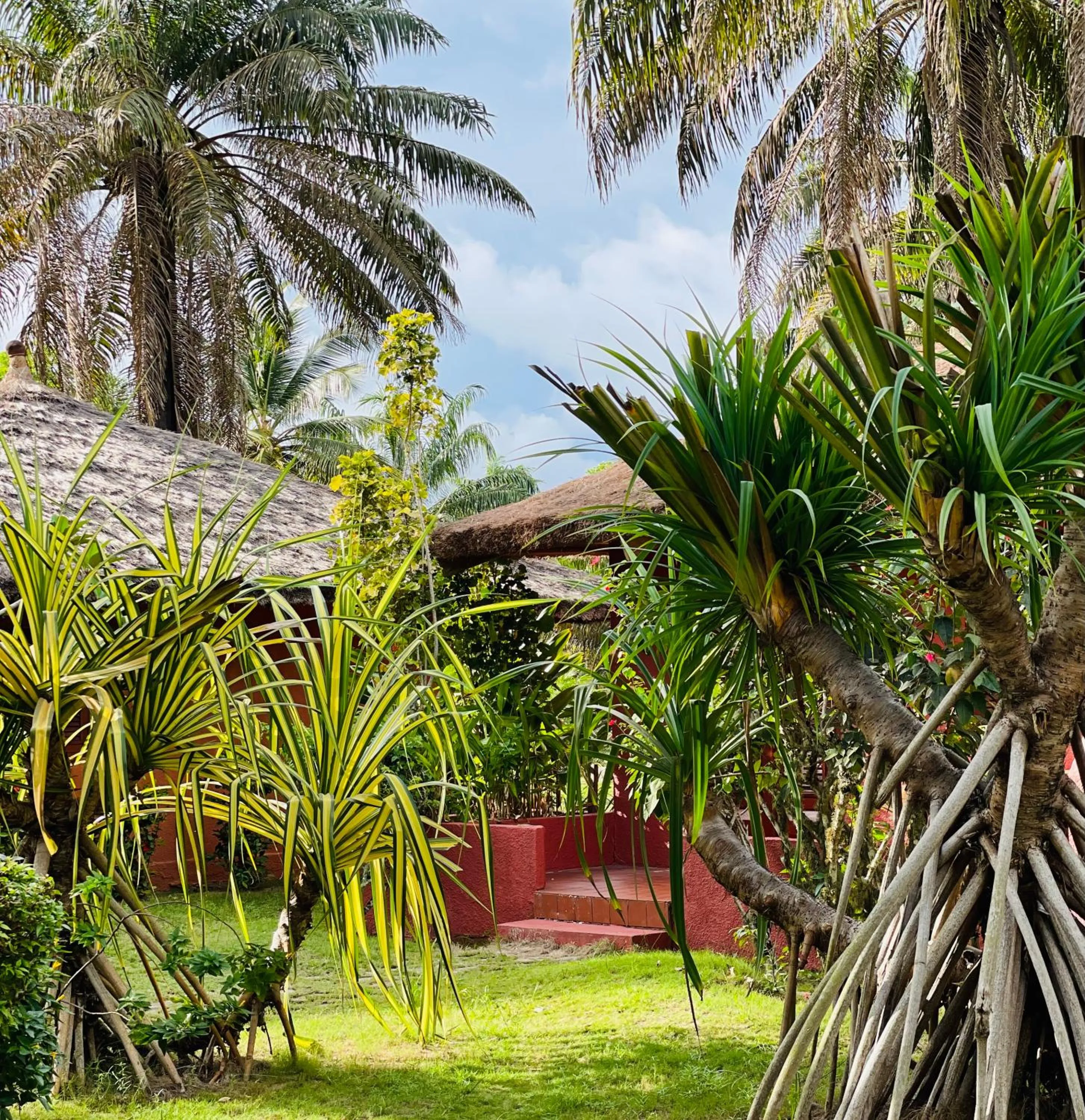Garden in African Queen Lodge