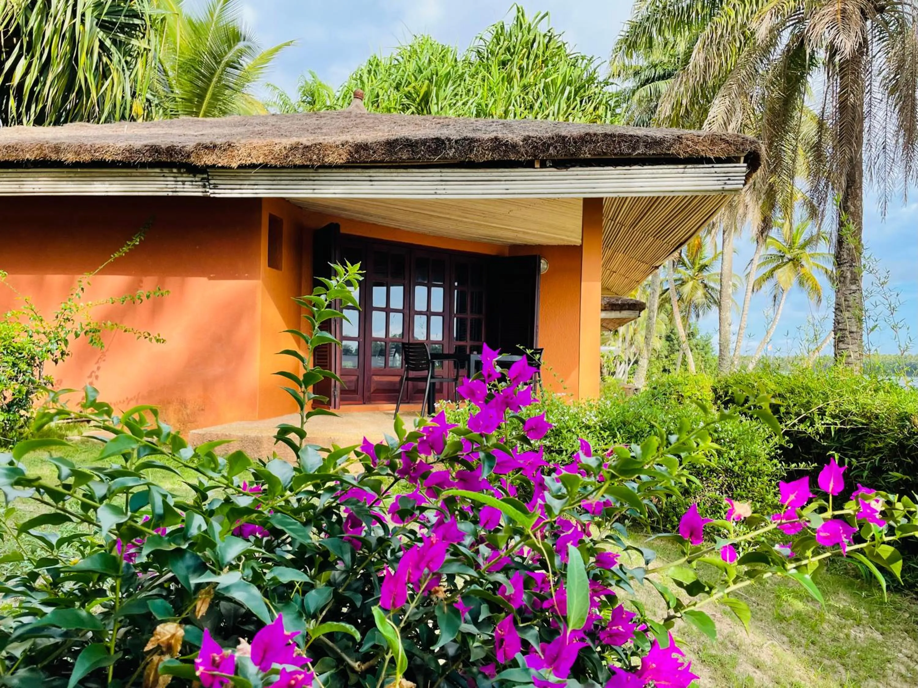 African Queen Lodge