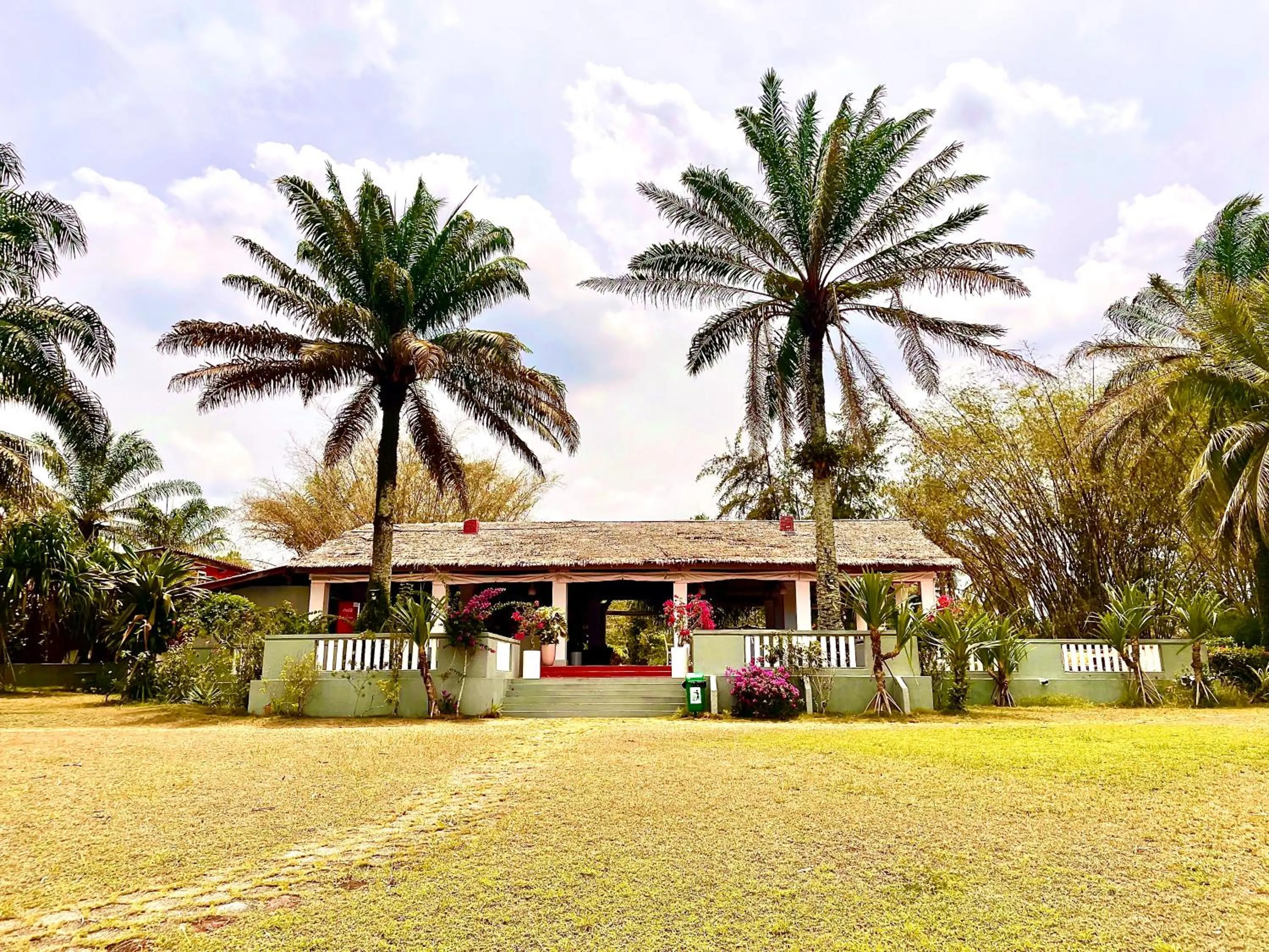 Restaurant/places to eat in African Queen Lodge
