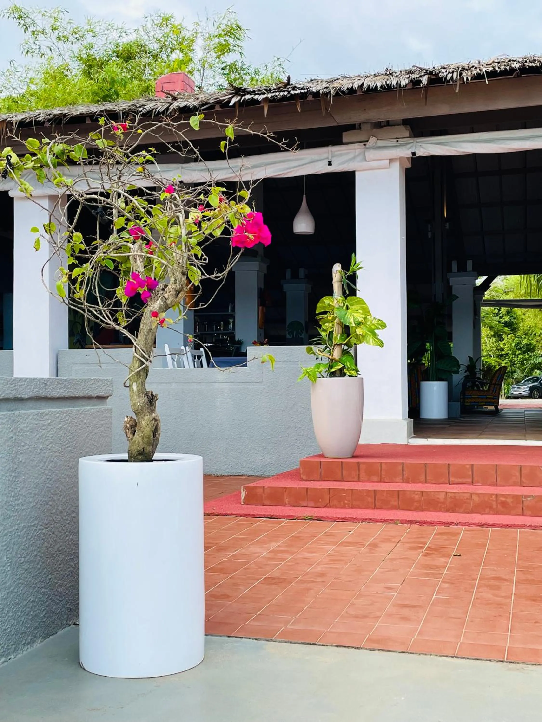 African Queen Lodge