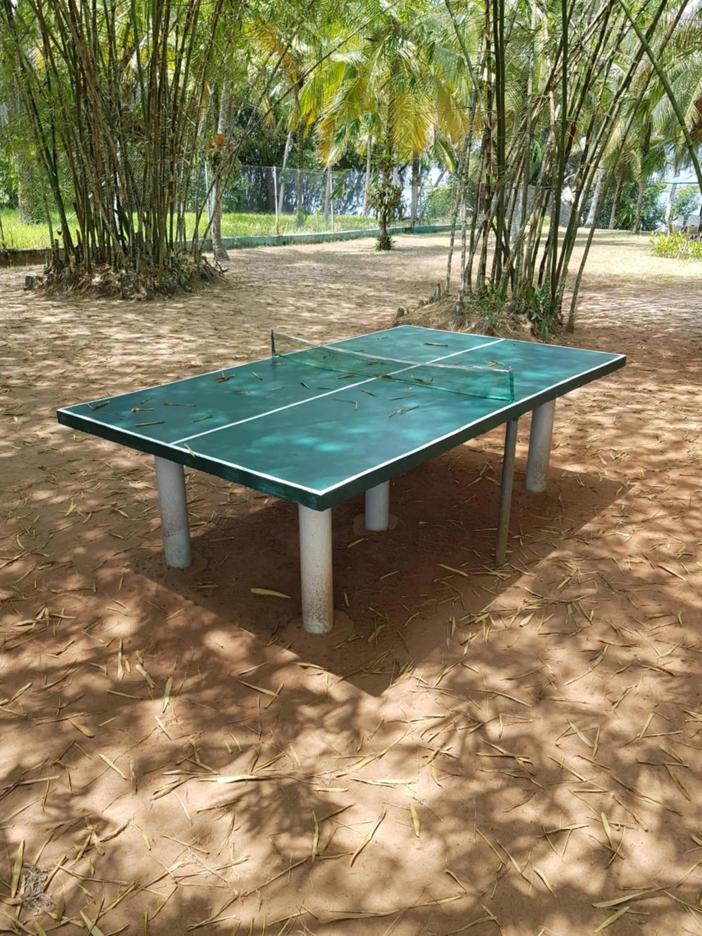 Table tennis in African Queen Lodge