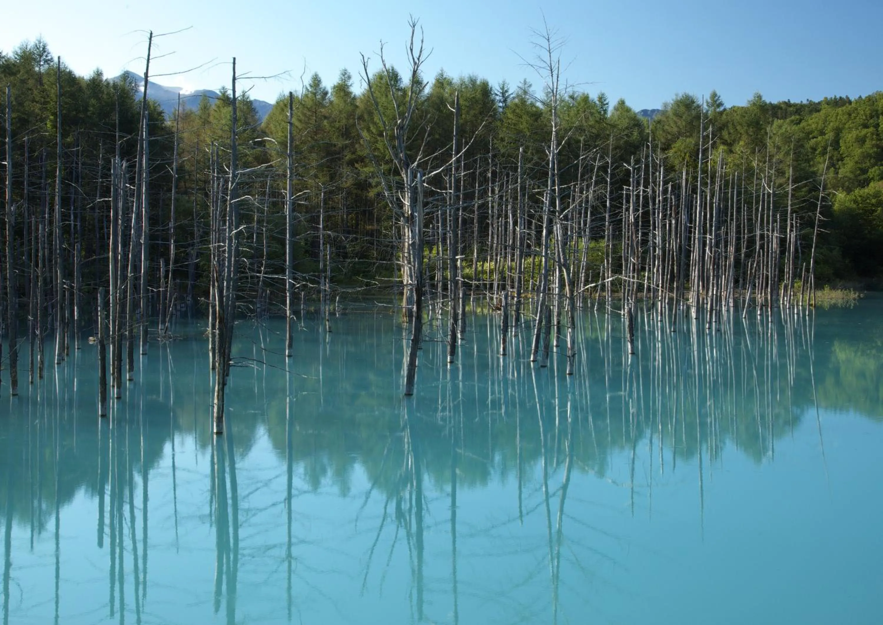 Nearby landmark in Akane-yado
