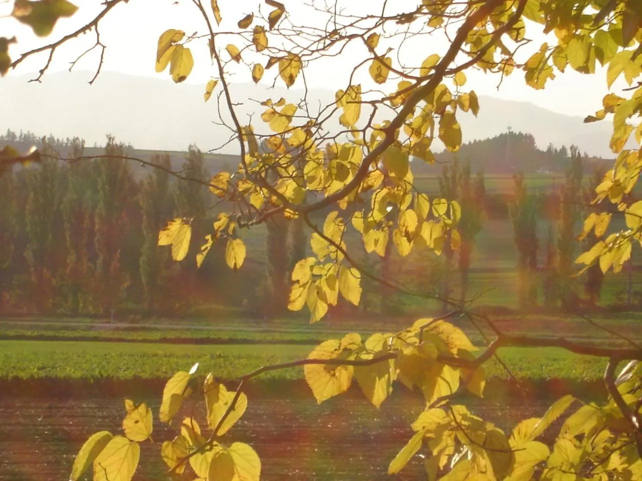 Off site in Akane-yado