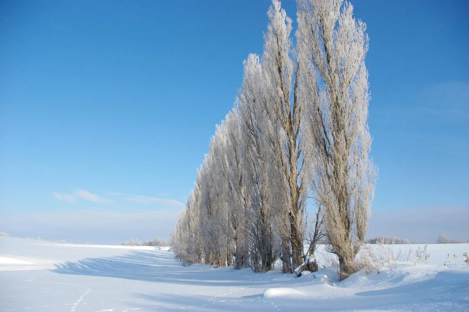 Off site in Akane-yado