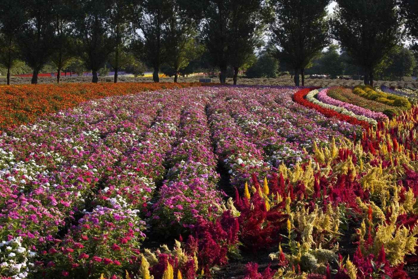 Nearby landmark in Akane-yado