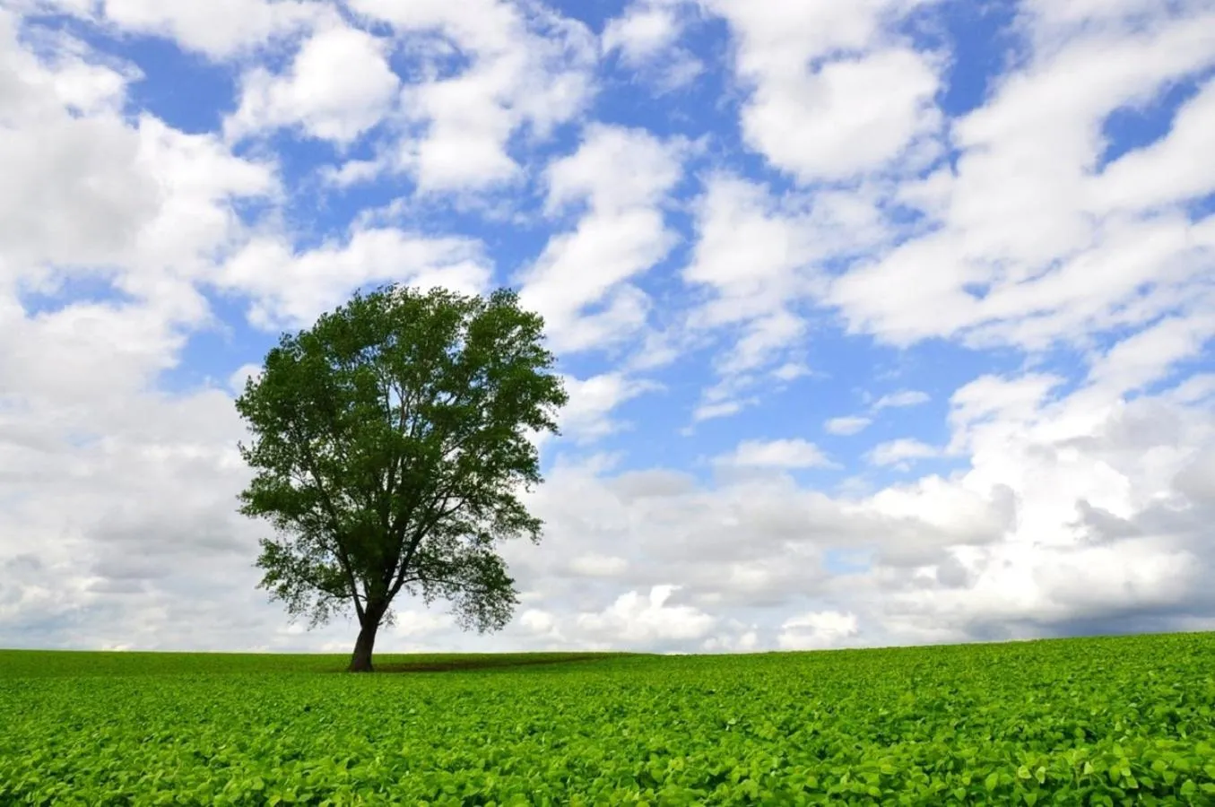 Nearby landmark in Akane-yado
