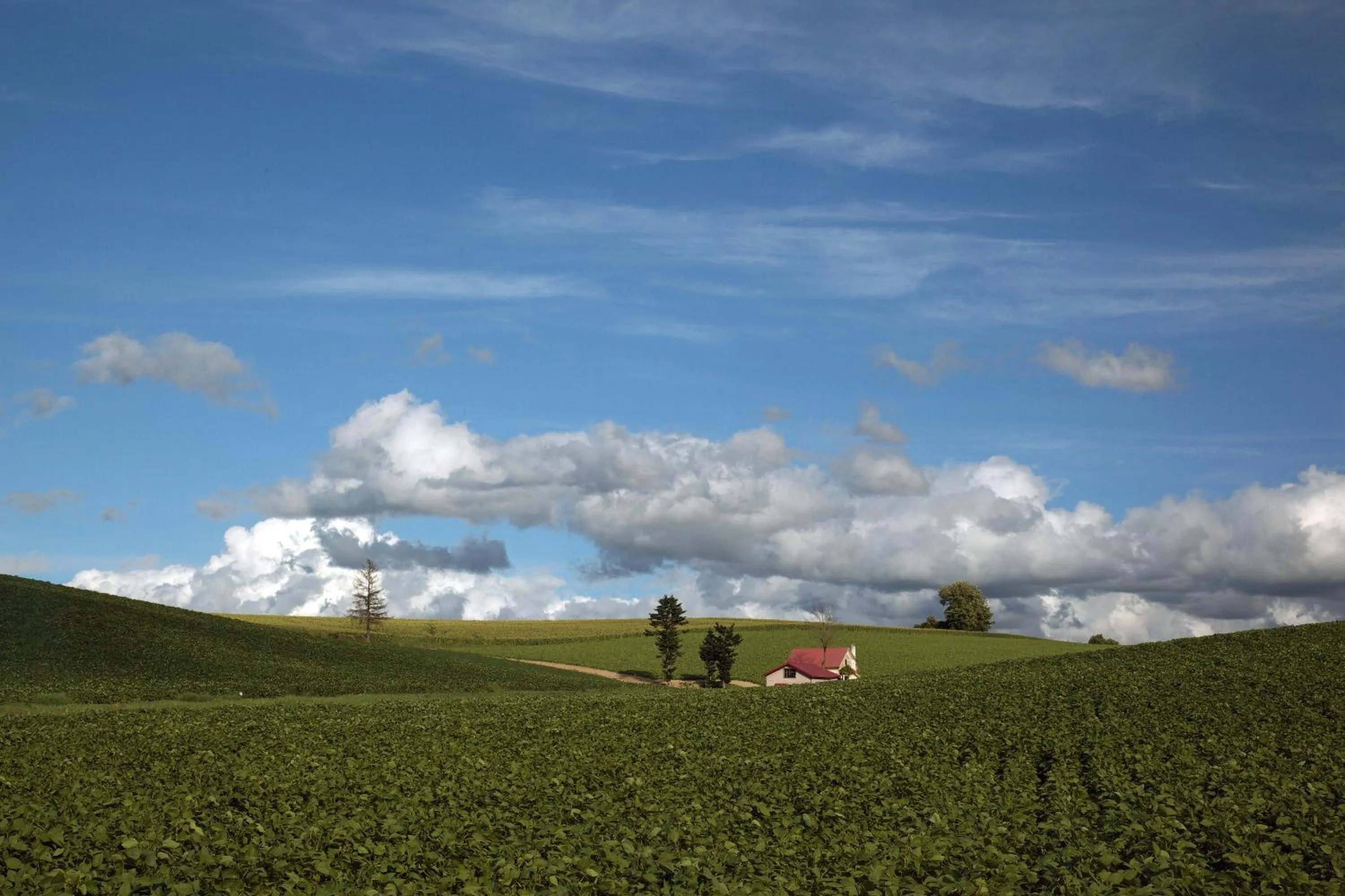 Nearby landmark in Akane-yado