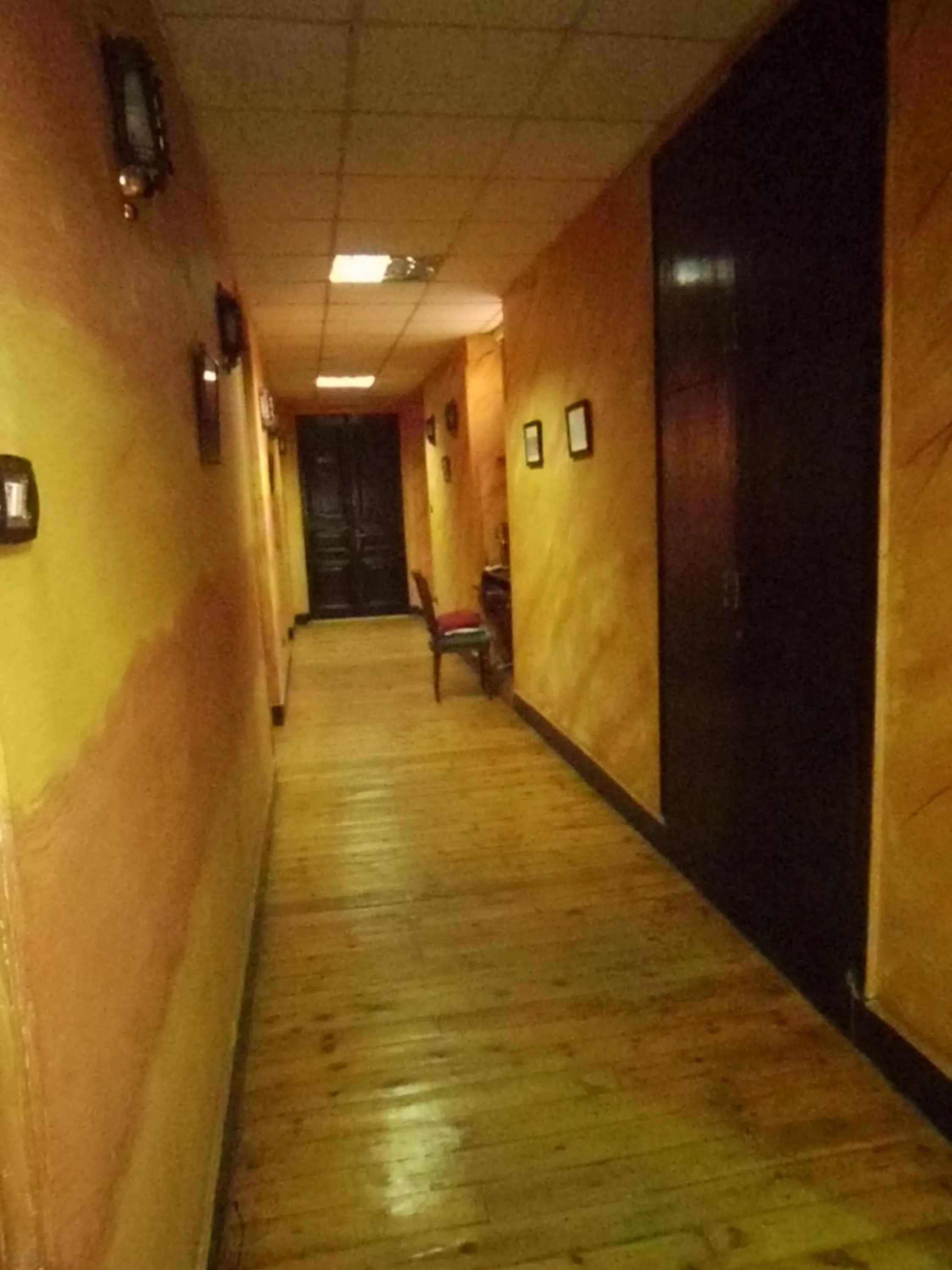 Staff in Freedom Hostel