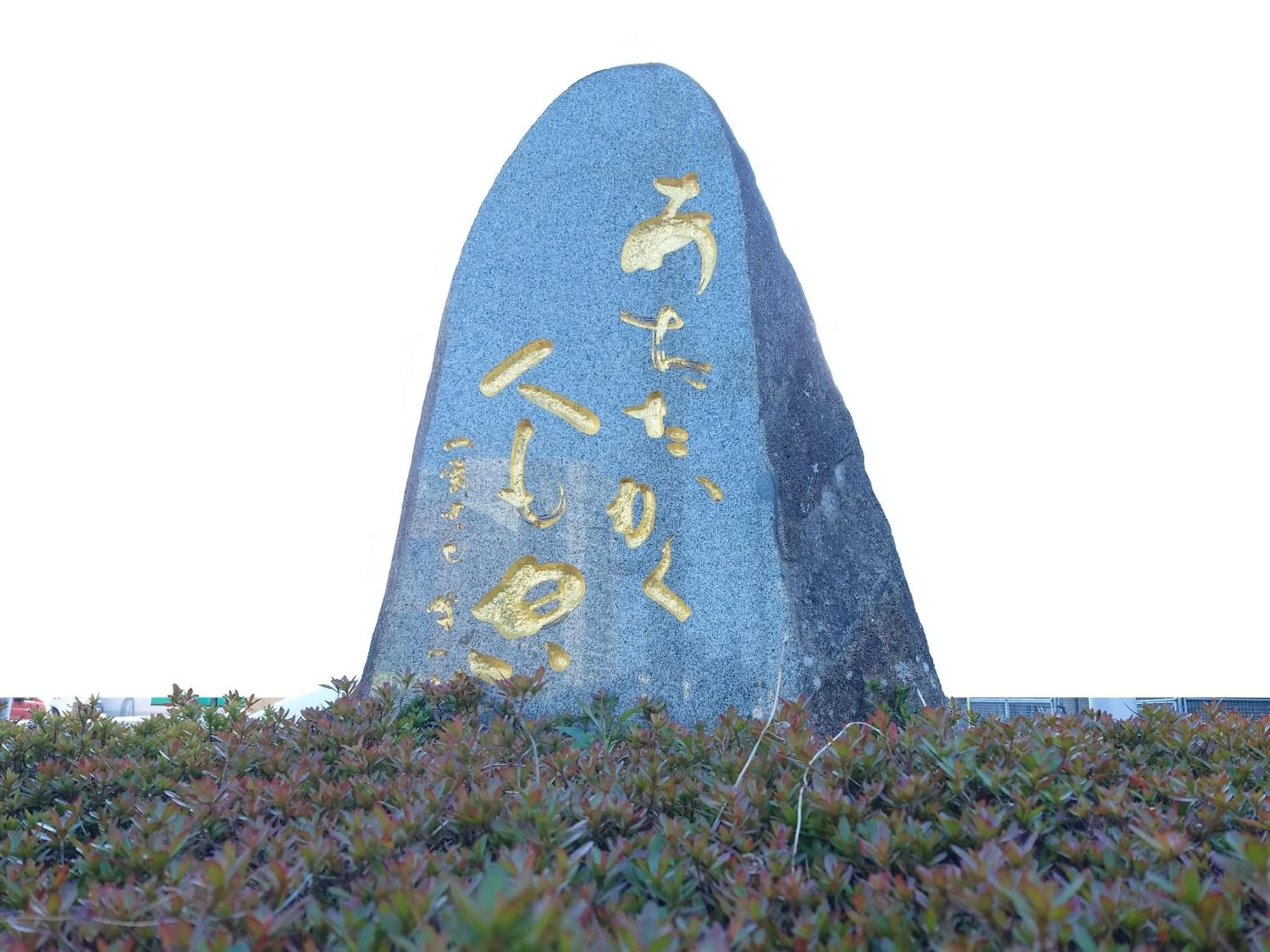 Area and facilities in APA Hotel Yamaguchi Hofu