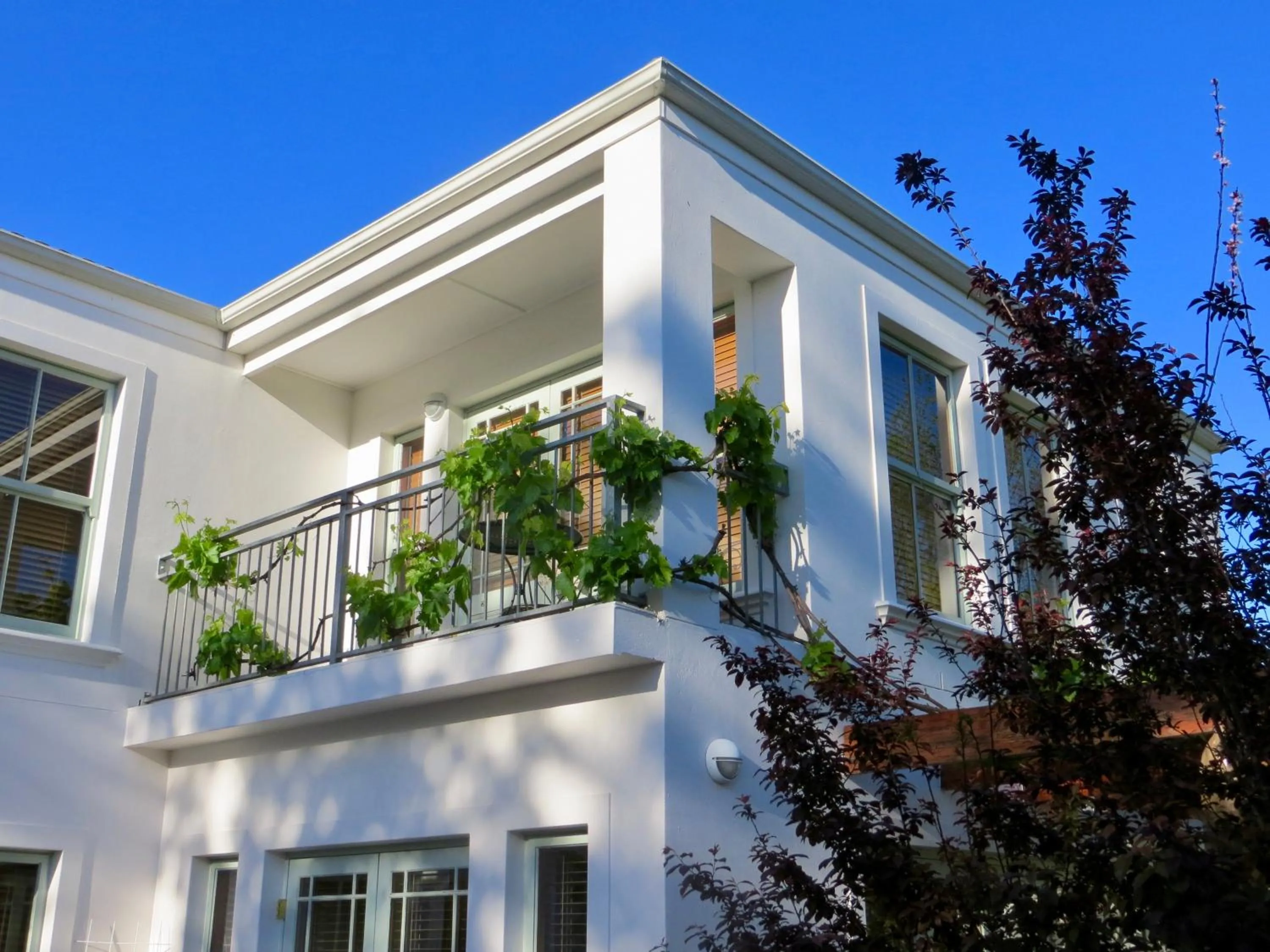 Property building in Penelope's Stellenbosch