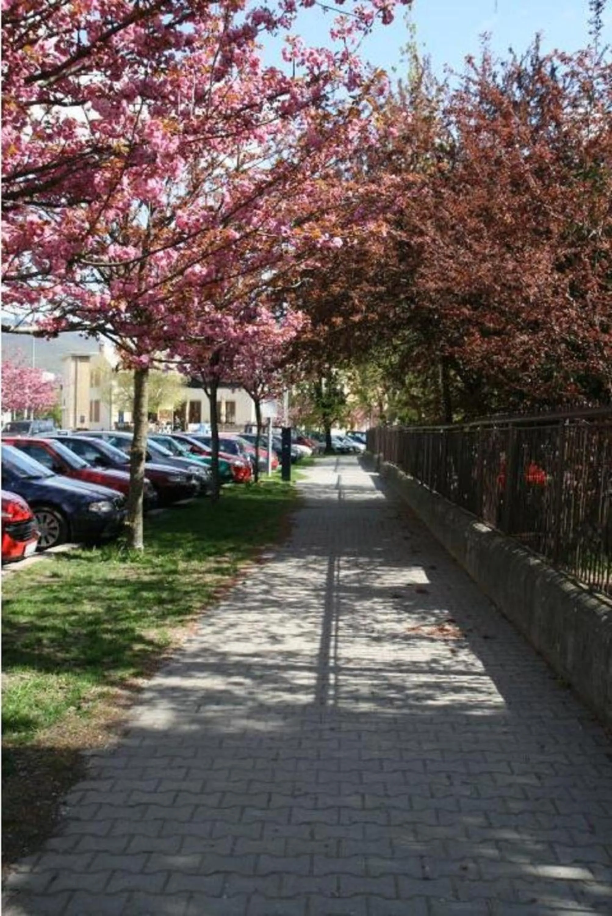 Neighbourhood in Hotel Oko