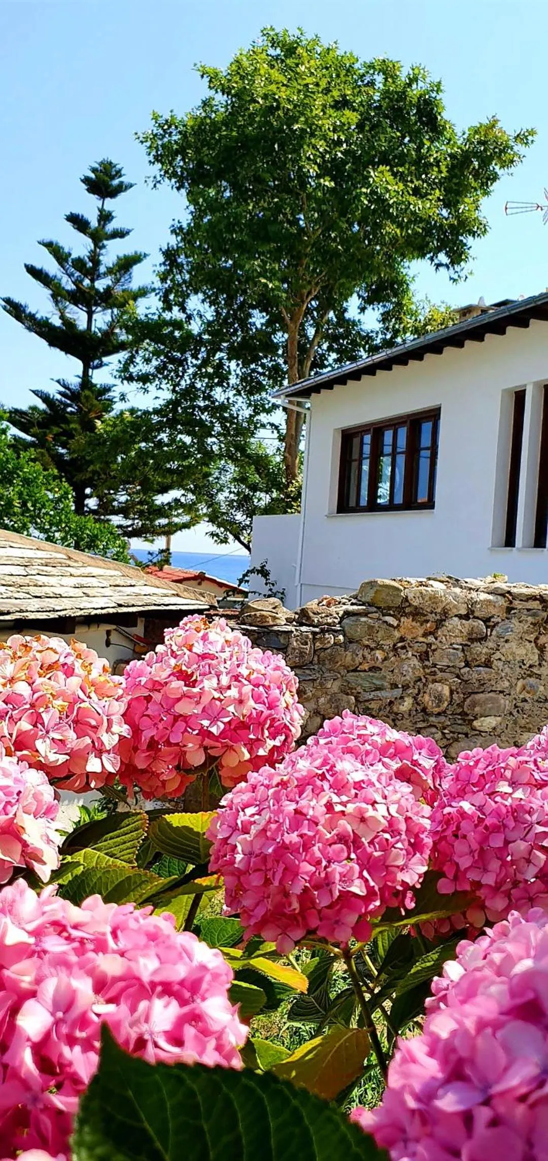 Garden in Aeolos Hotel & Villas - Pelion