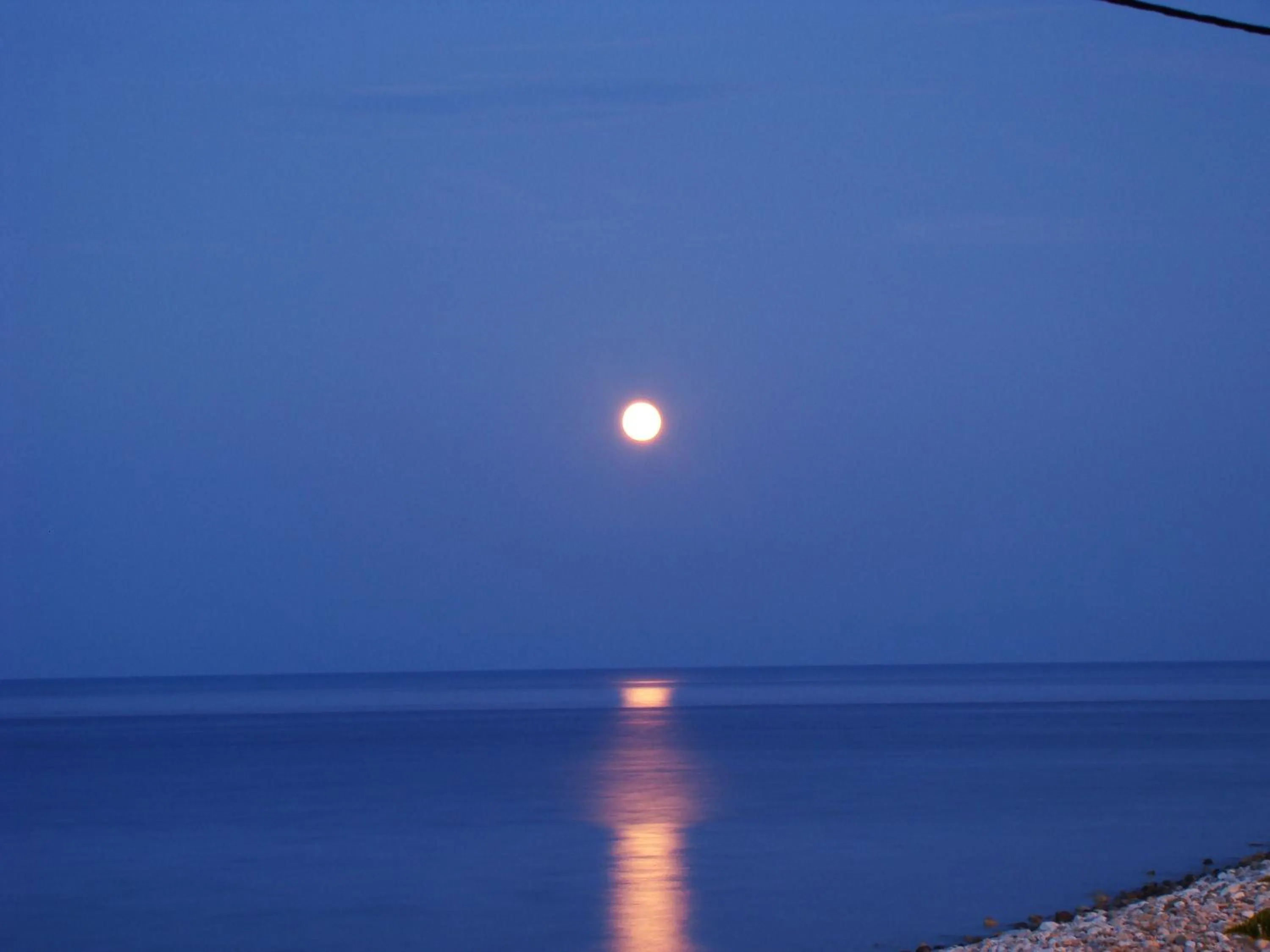 Natural landscape in Aeolos Hotel & Villas - Pelion