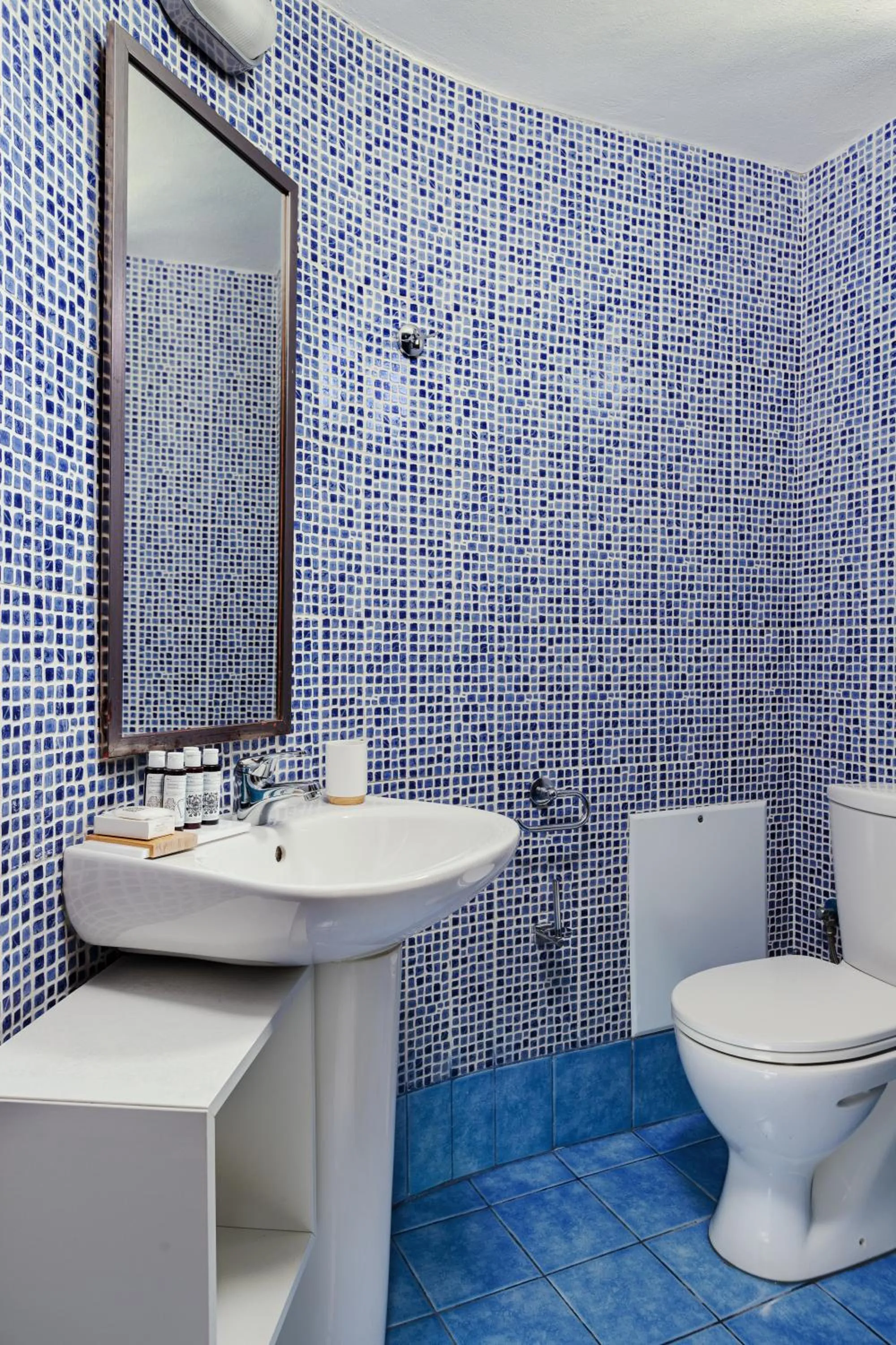 Toilet in Aeolos Hotel & Villas - Pelion