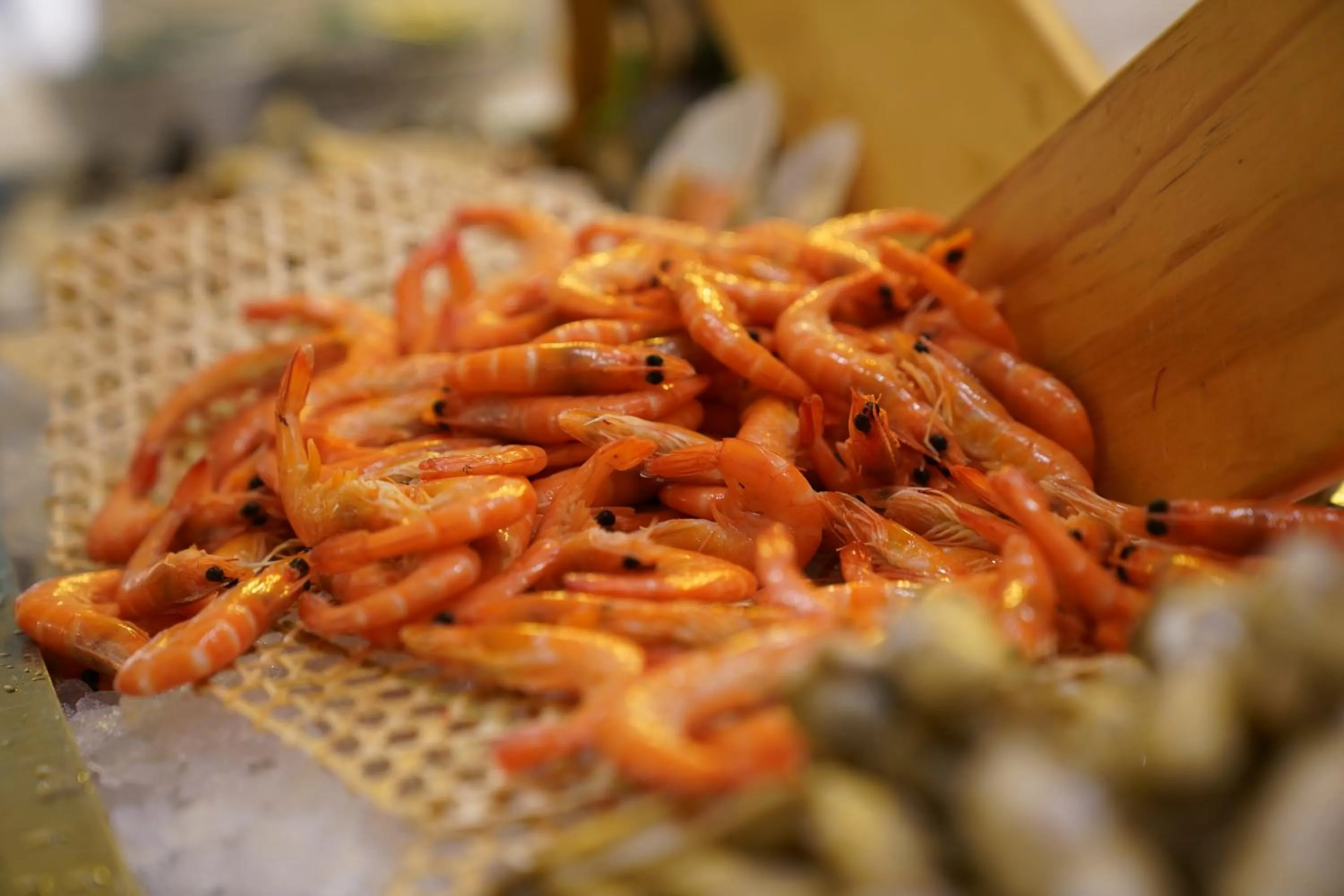 Lunch in Grand Mercure Hotel Hualing