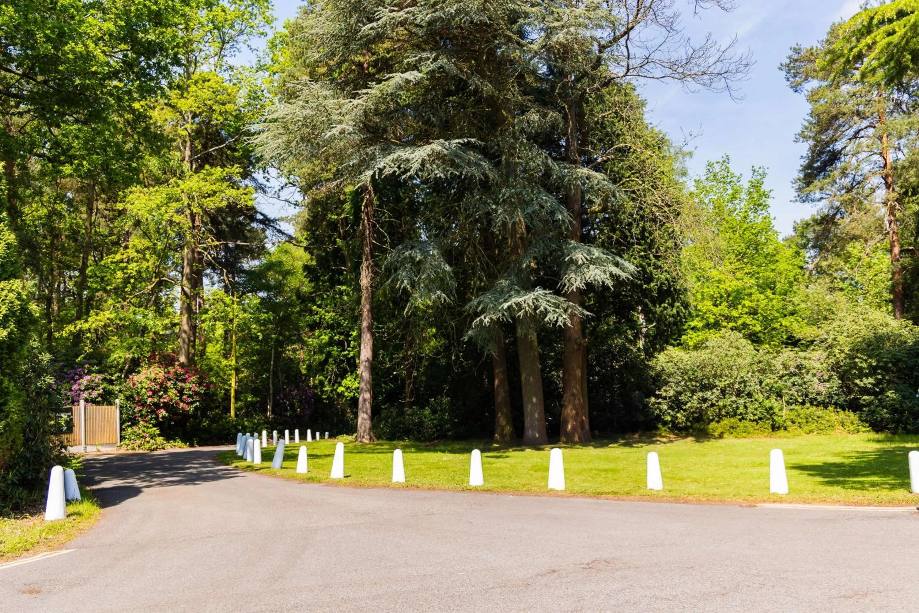 Business facilities in Hilton Cobham
