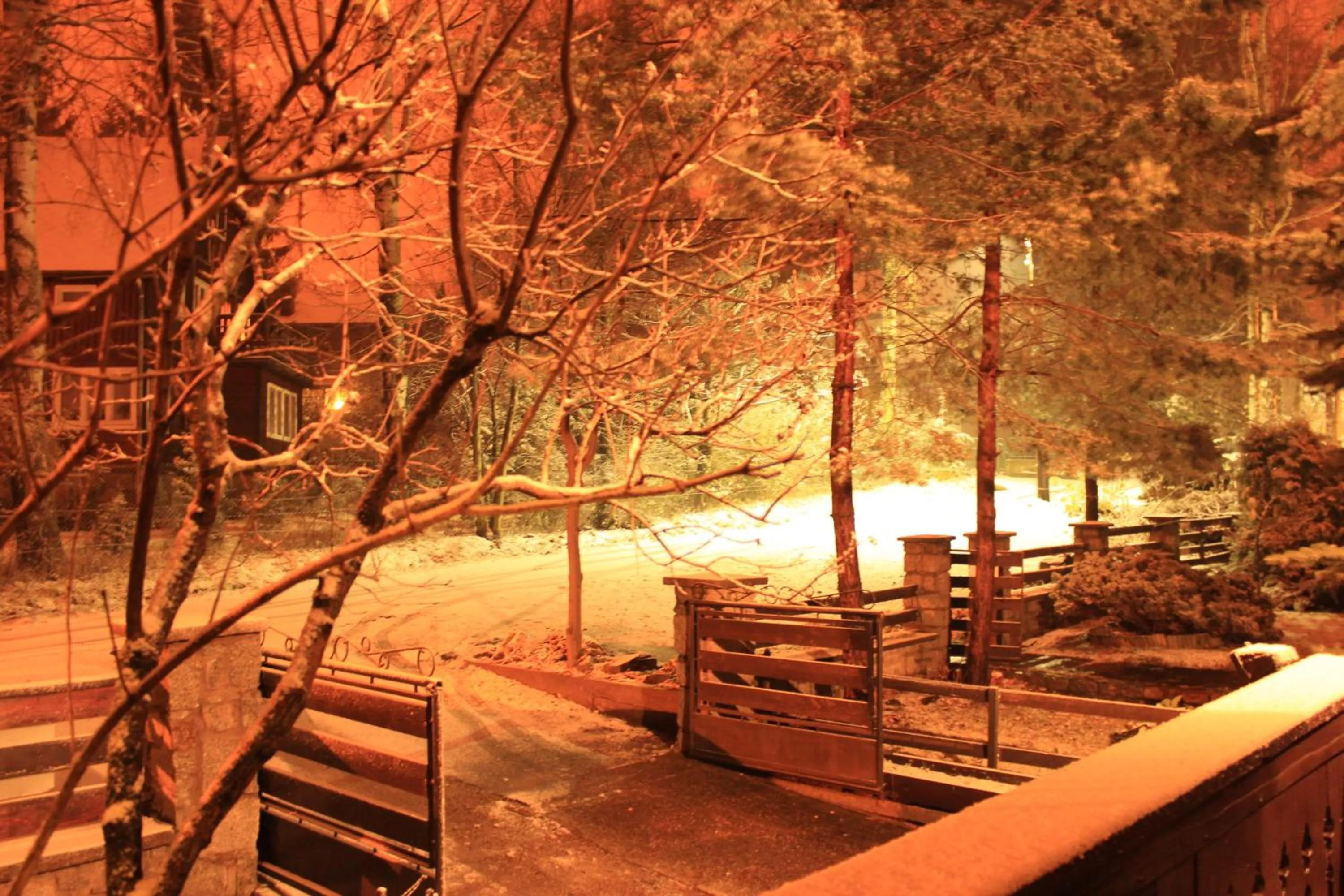 Area and facilities in Willa Elżbieta - komfortowy wypoczynek, znakomite recenzje Gości