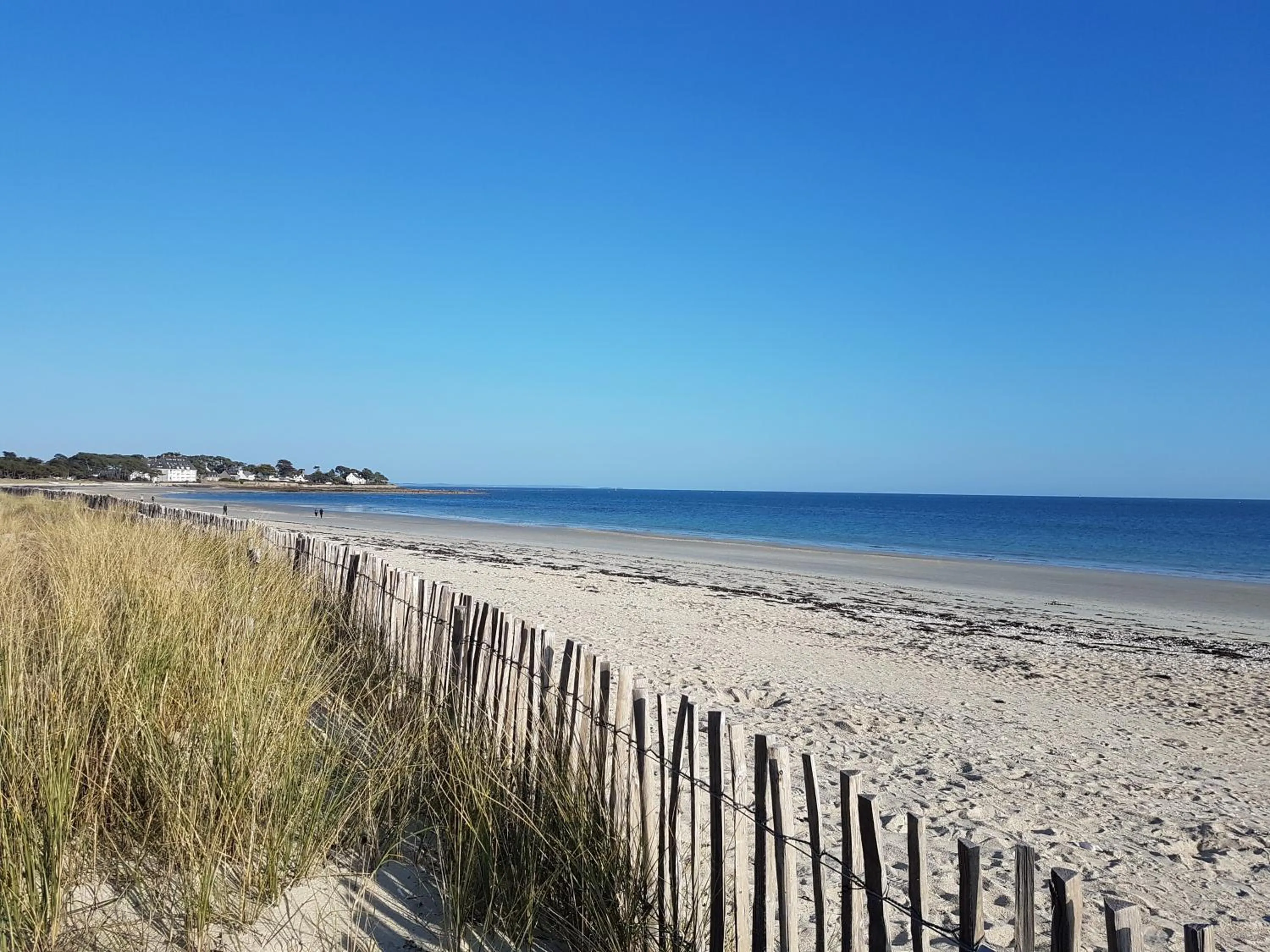 Beach in l'Arbre Voyageur