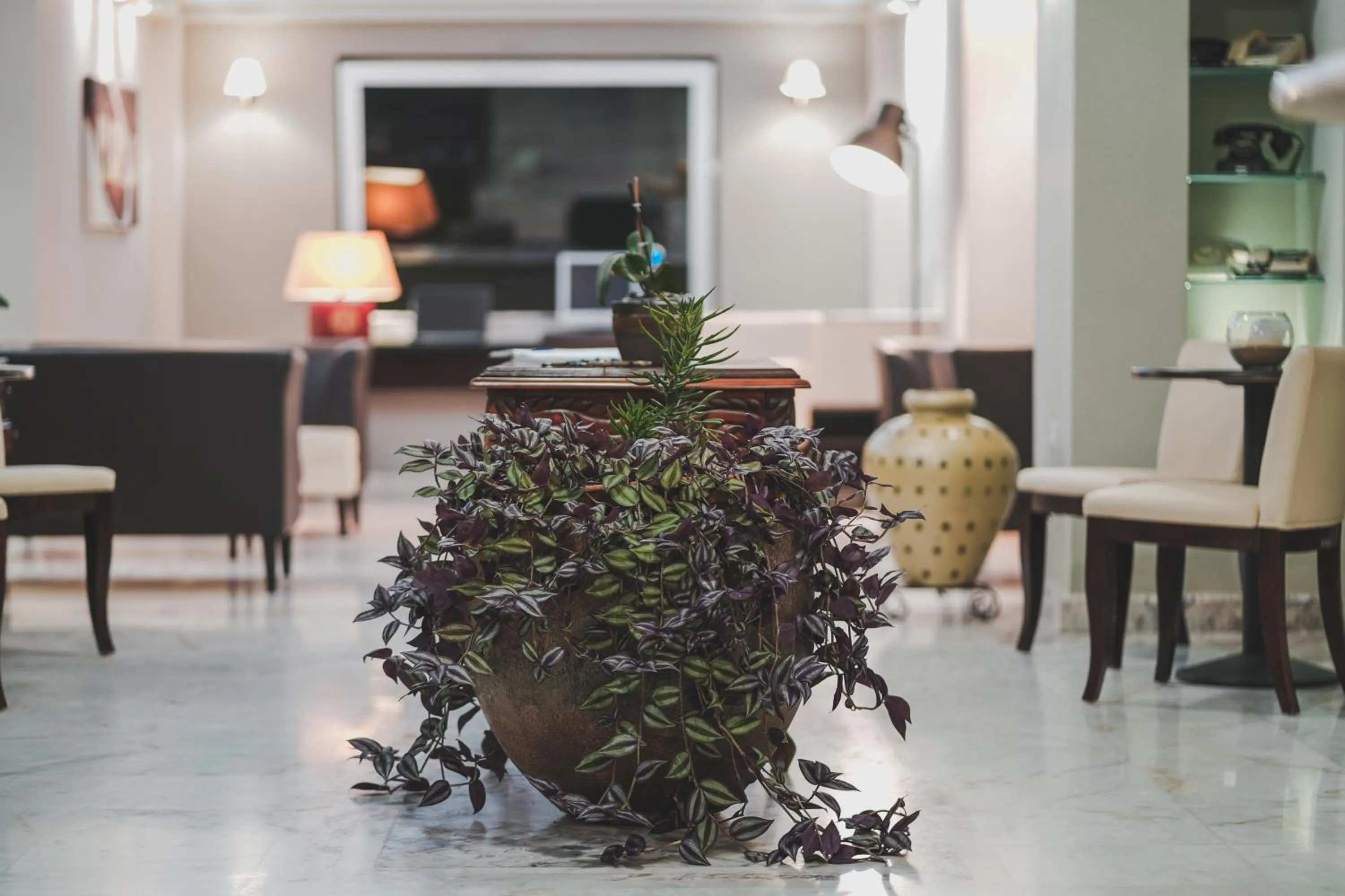 Lobby or reception in Zeus Village Resort - Adults Only