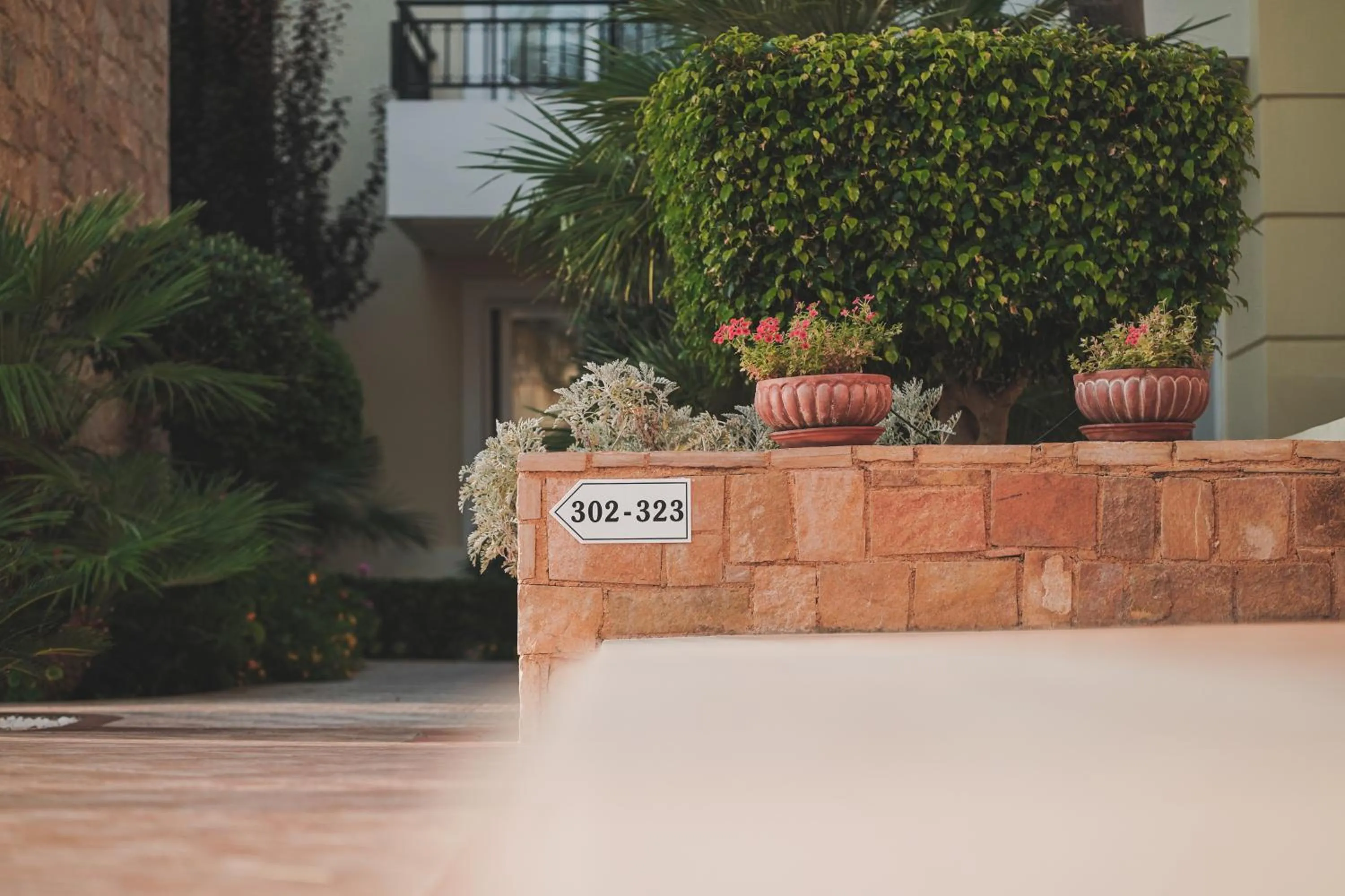 Garden in Zeus Village Resort - Adults Only