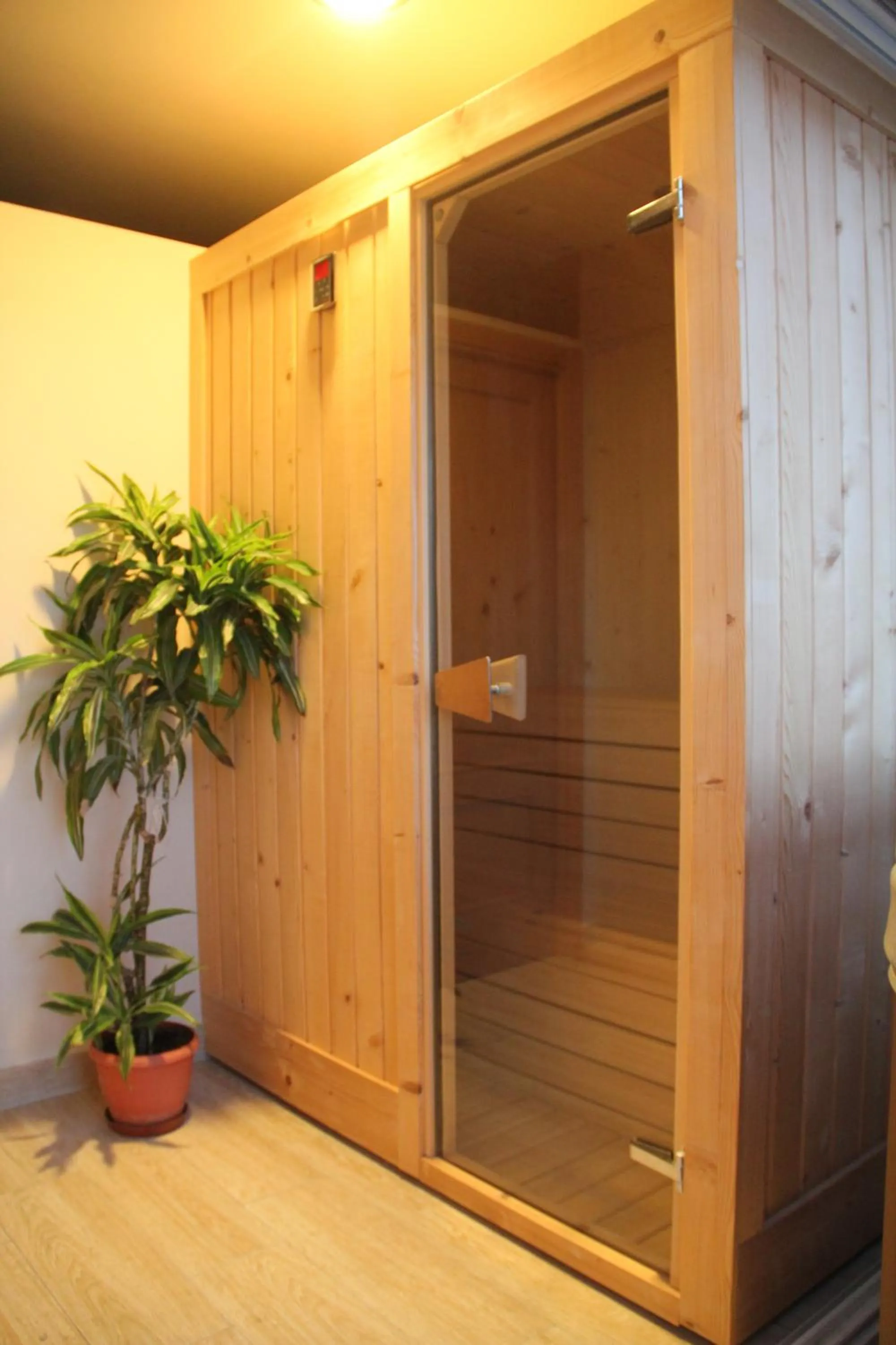 Spa and wellness centre/facilities in Apartamentos Guerrero