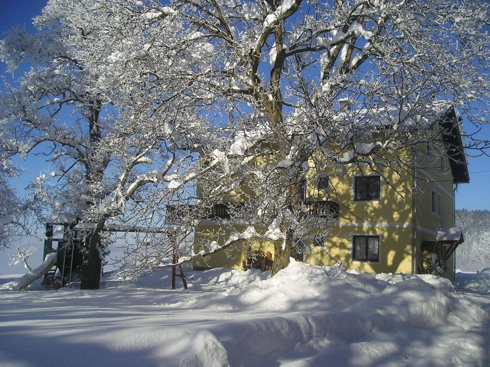 Winter in Ferienwohnungen Schöbringer