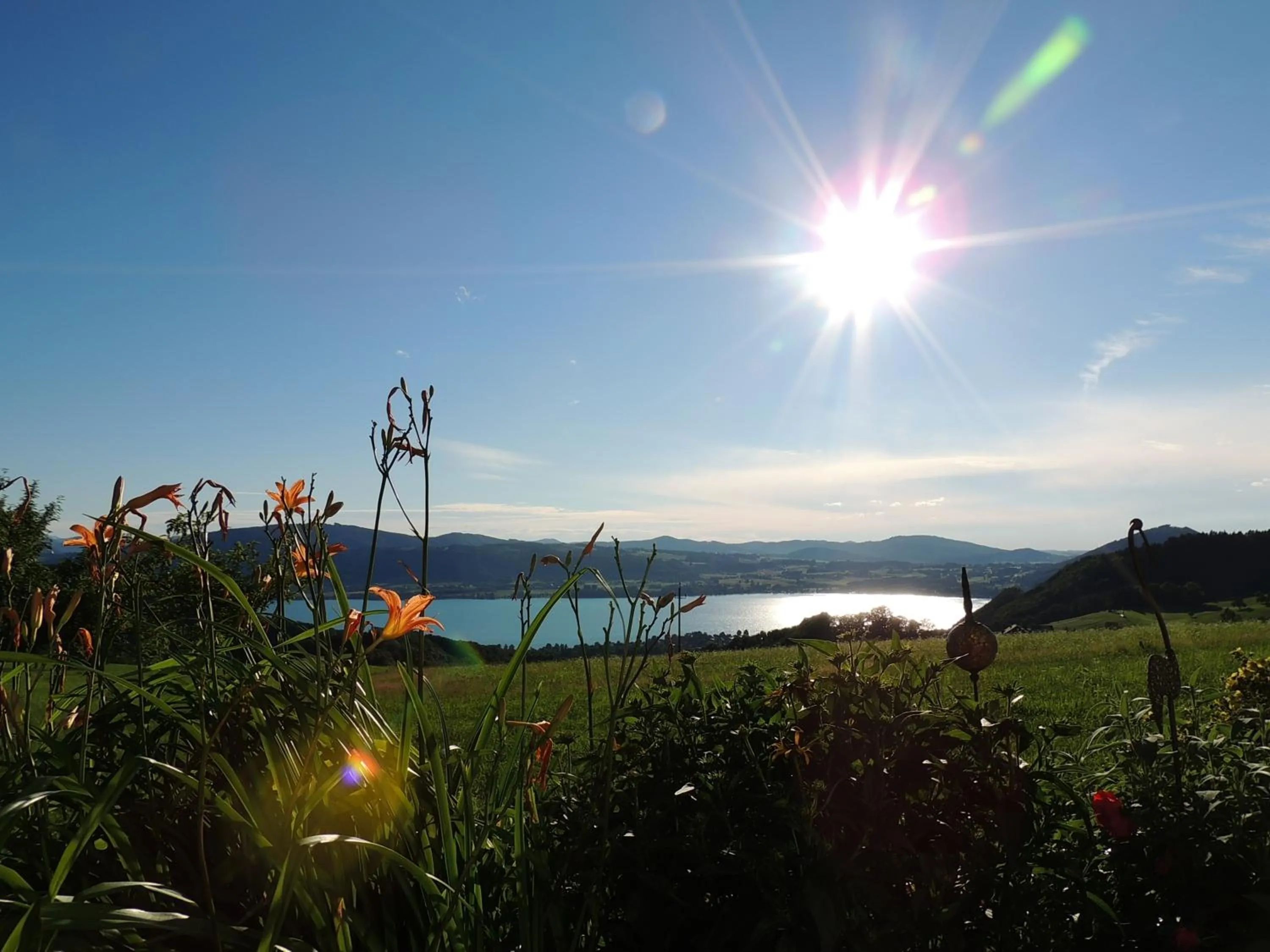 View (from property/room) in Ferienwohnungen Schöbringer