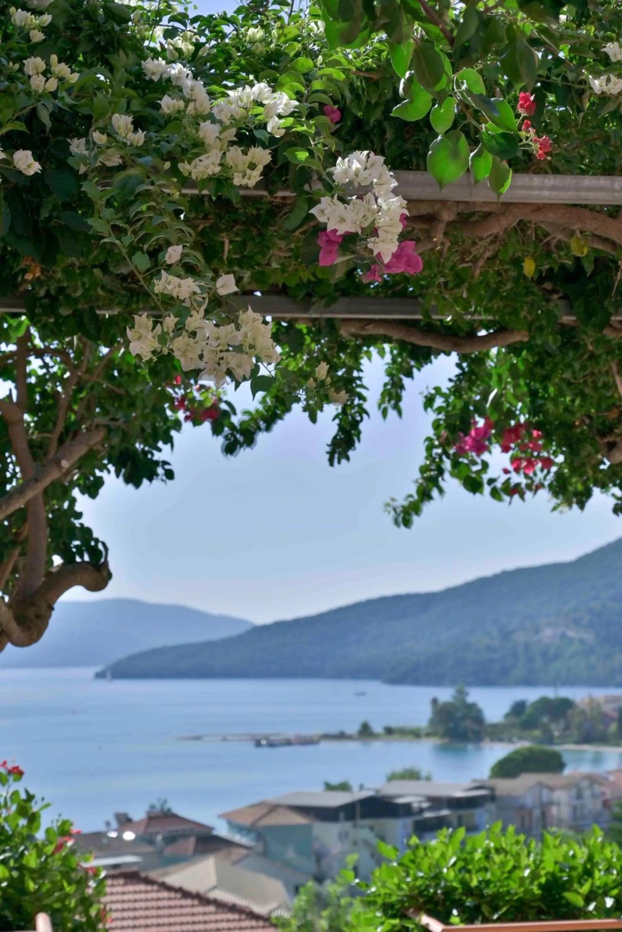 Sea view in San Lazzaro