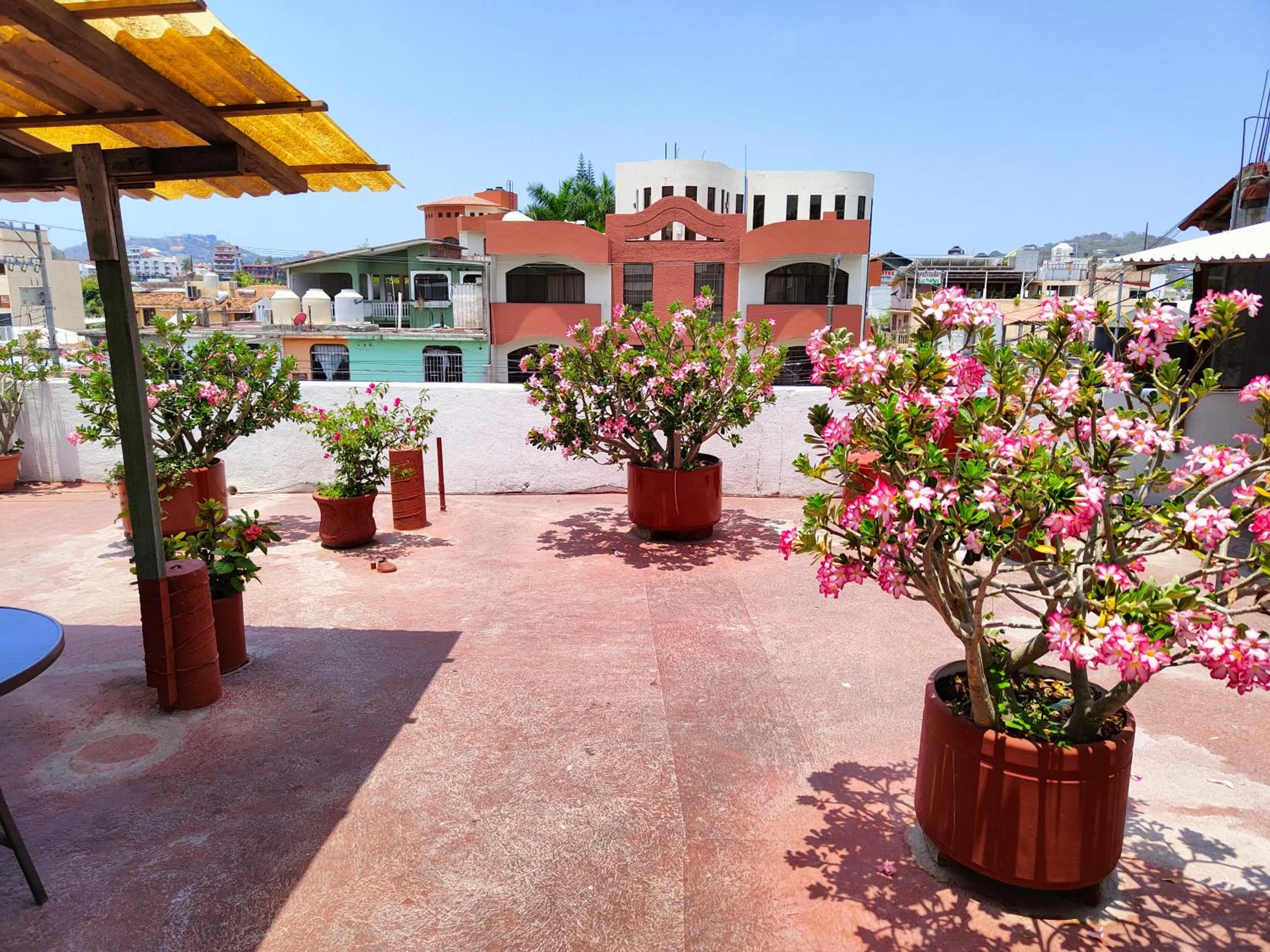 Balcony/Terrace in Hotel Victoria