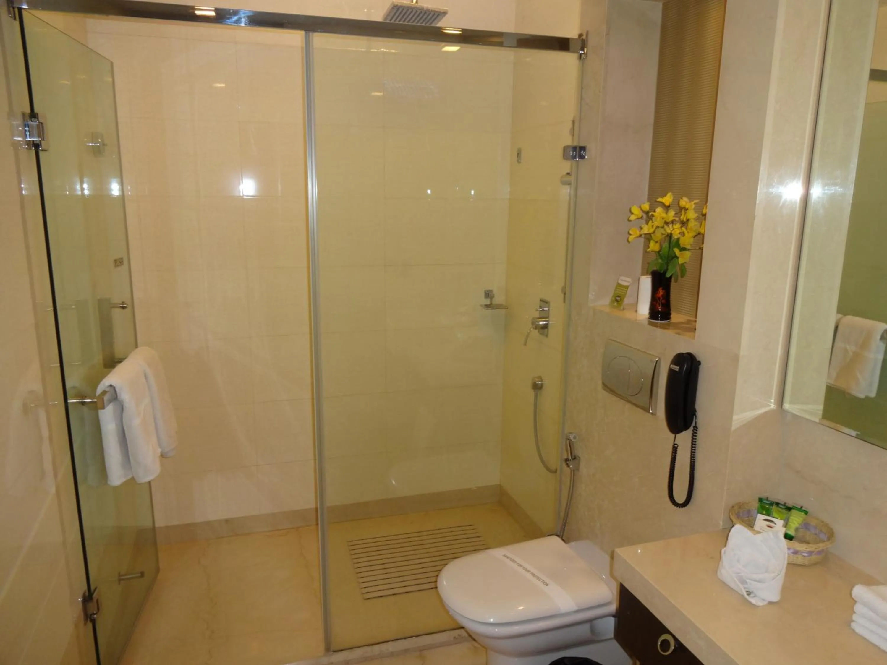 Toilet in Hotel Florence