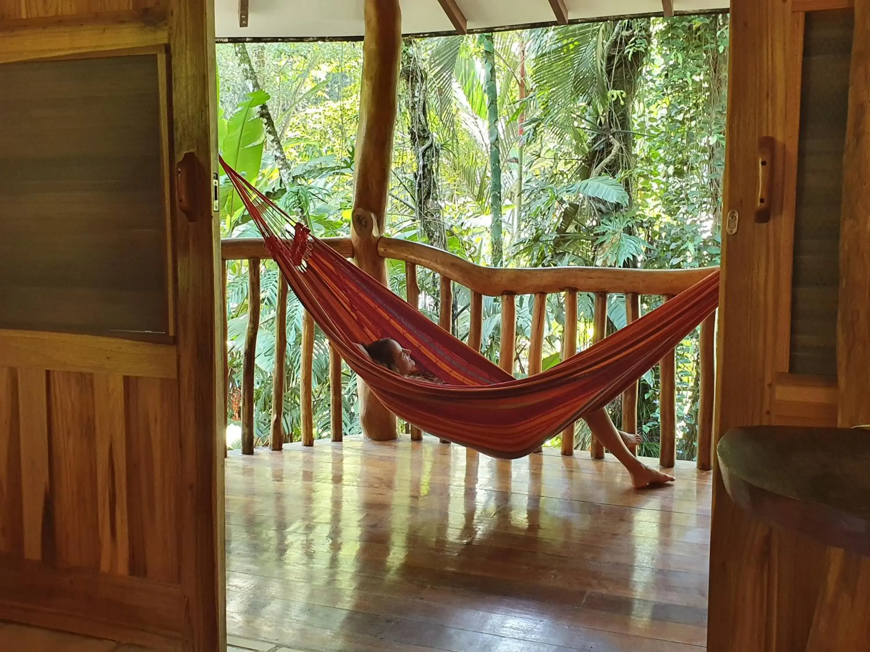 Superior King Double Room with Jungle View in Cariblue Beach and Jungle Resort Superior King Double Room with Jungle View in Cariblue Beach and Jungle Resort