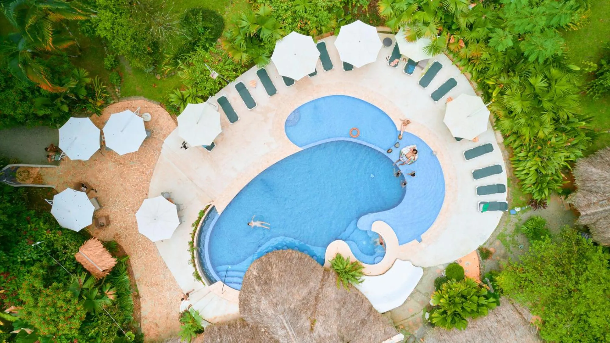 Pool view in Cariblue Beach and Jungle Resort