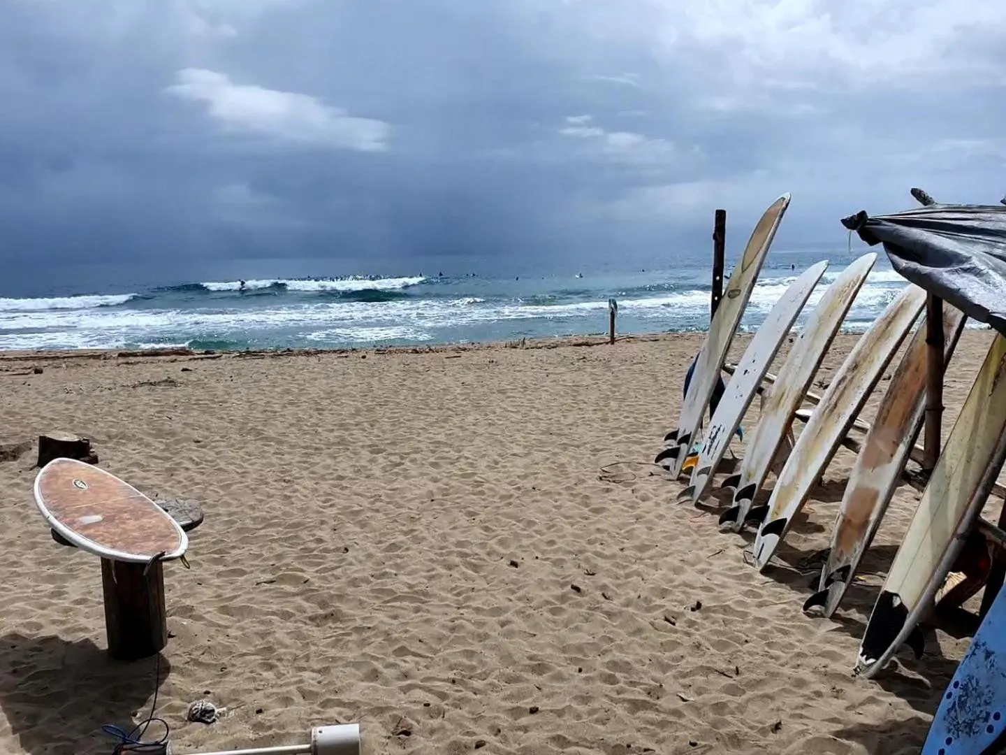 Activities in Cariblue Beach and Jungle Resort