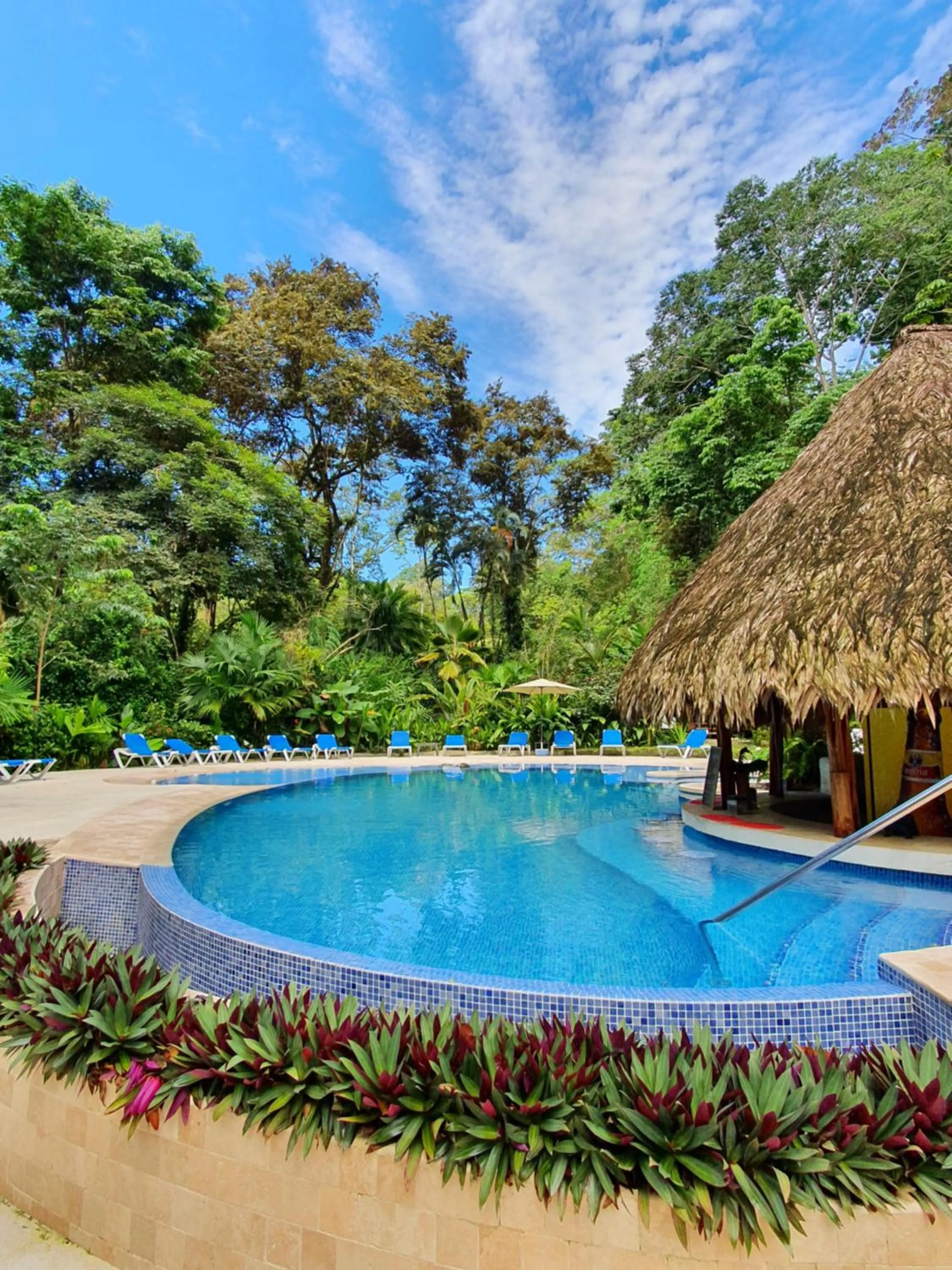 Swimming pool in Cariblue Beach and Jungle Resort
