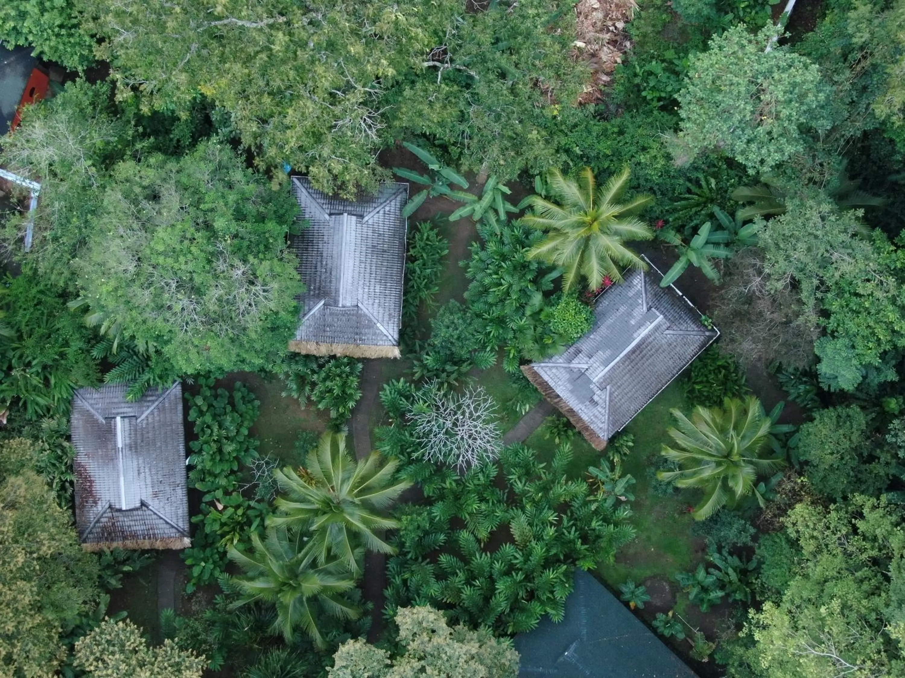 Property building in Cariblue Beach and Jungle Resort