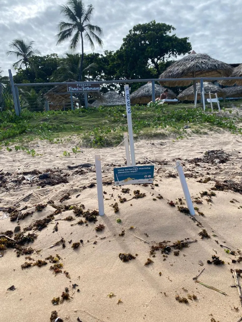 Pousada Farol das Tartarugas