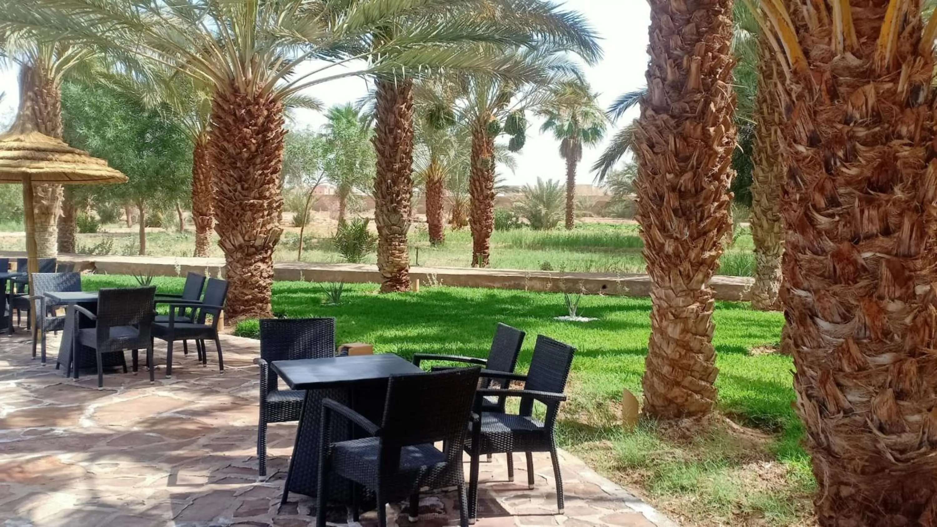 Garden in Erfoud Palace