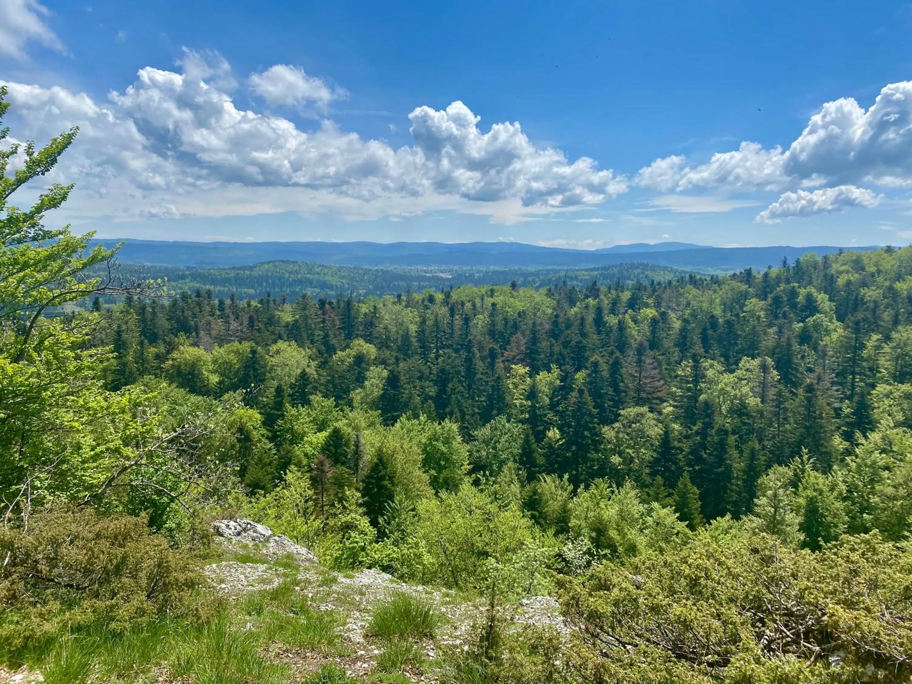 Natural landscape in La grande marmite du lac de Vouglans