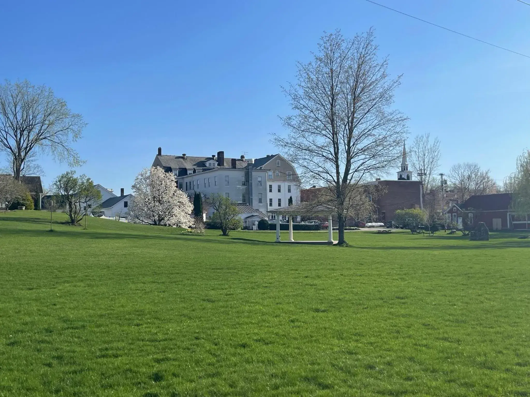 Garden in The Brandon Inn Garden in The Brandon Inn