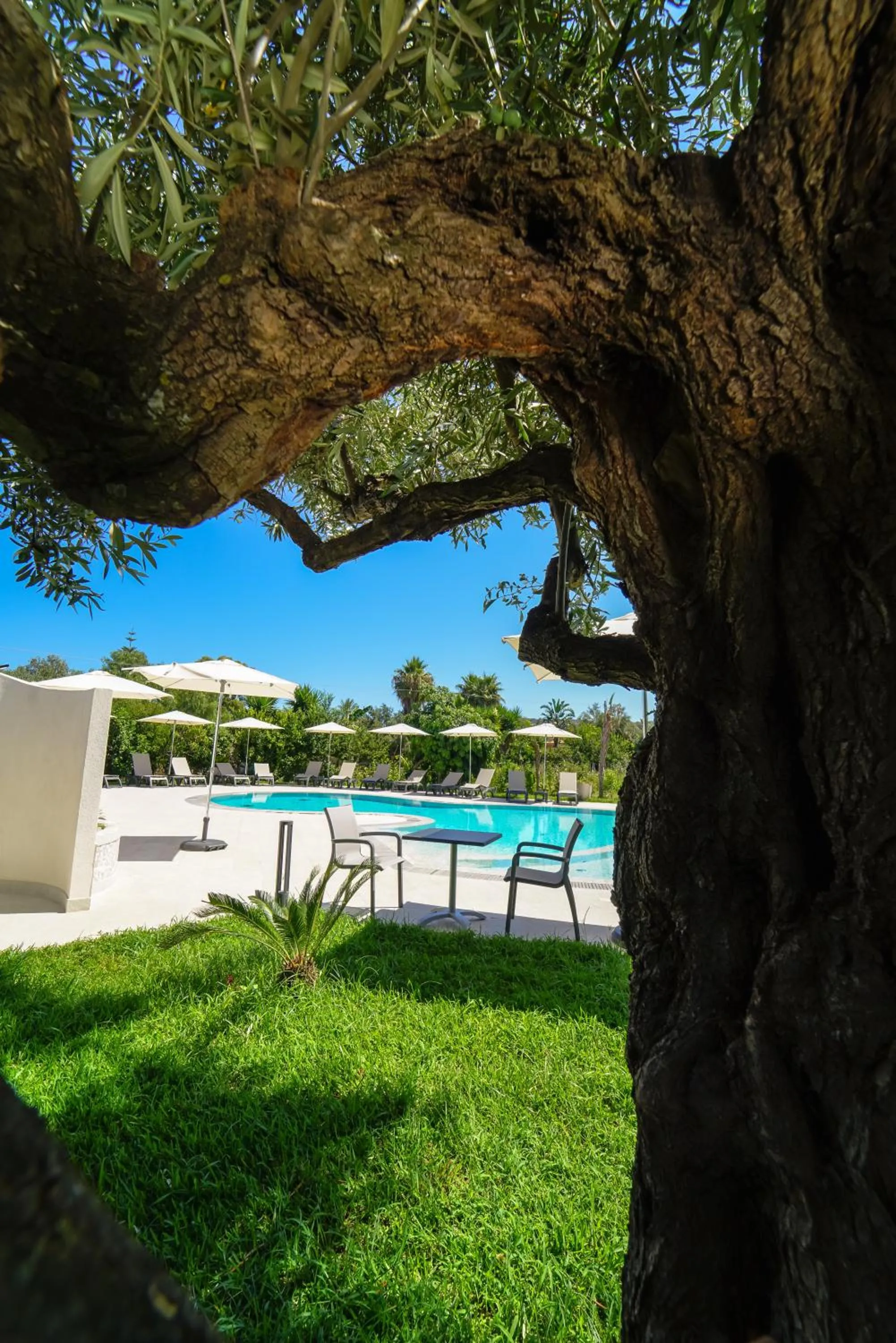 Garden in Europa rooms and restaurant
