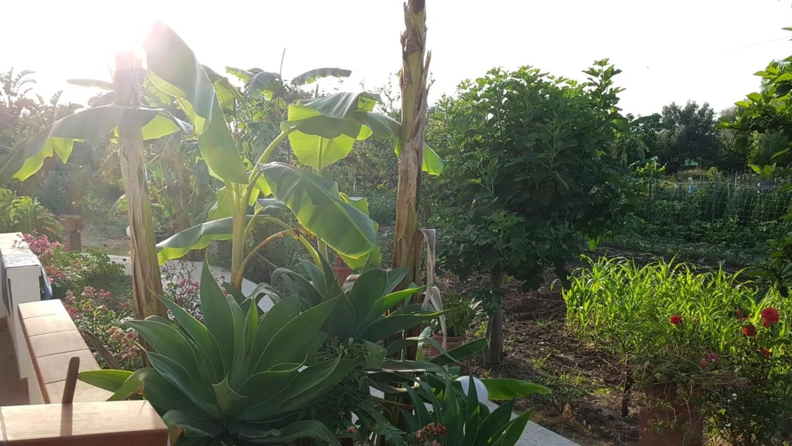 Natural landscape in Europa rooms and restaurant