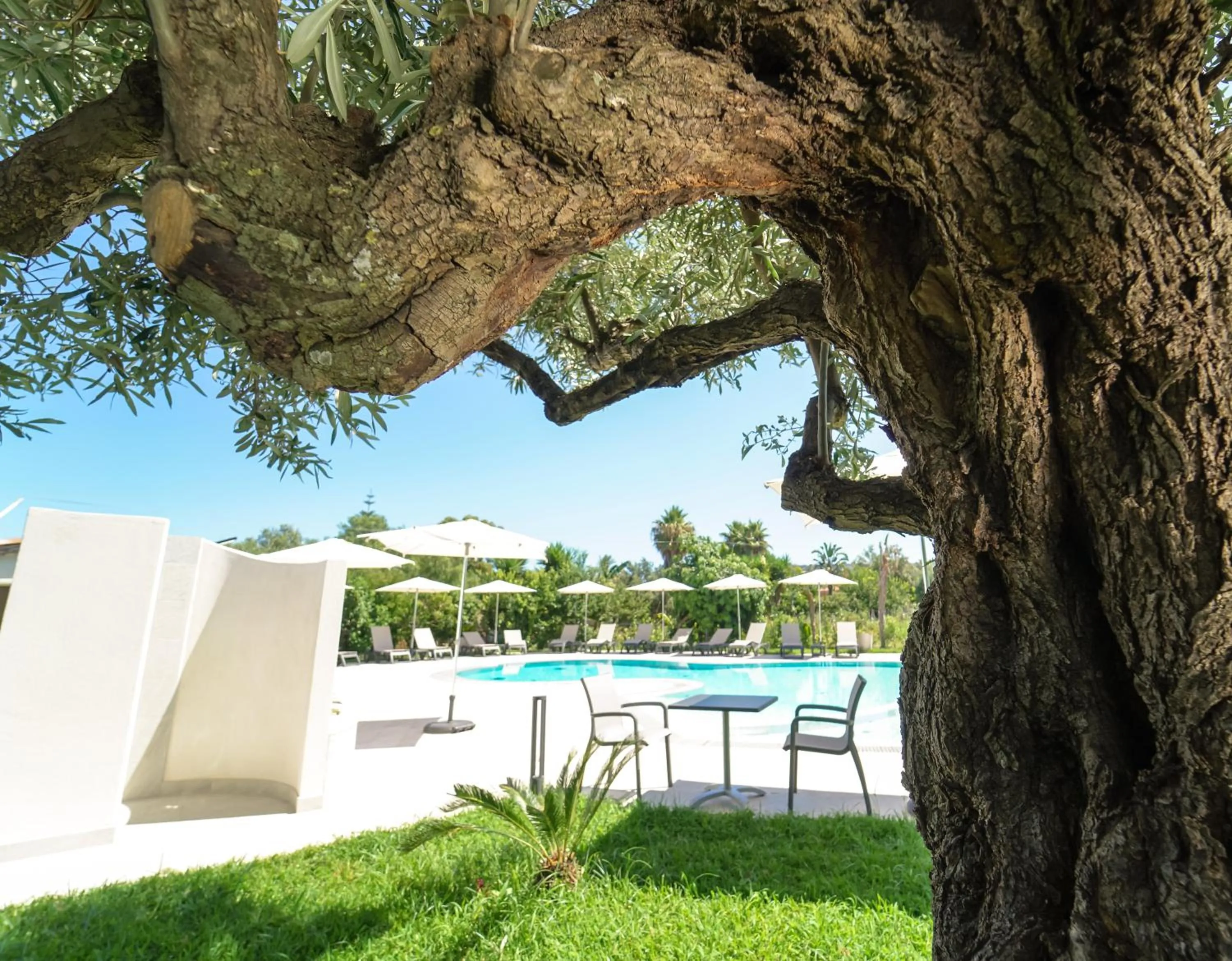 Pool view in Europa rooms and restaurant