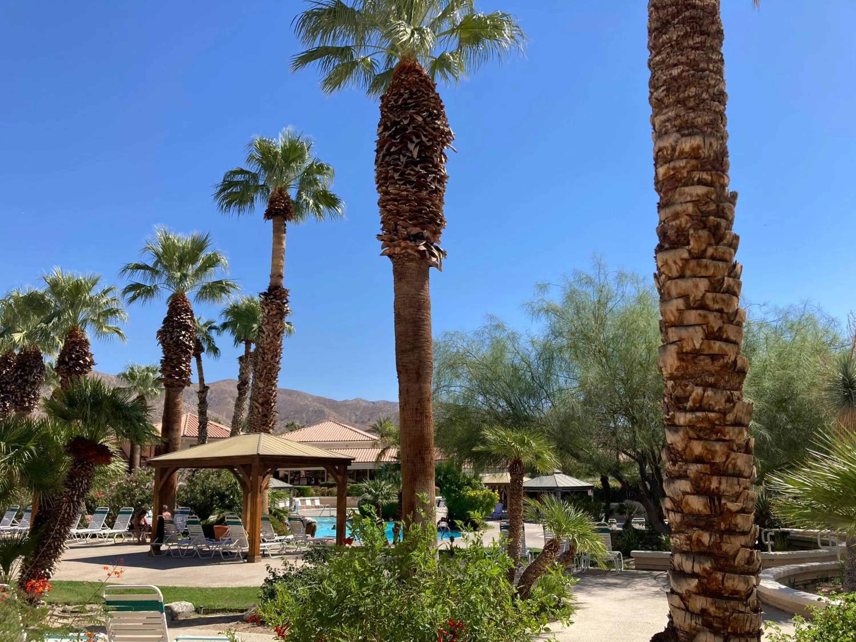 Miracle Springs Resort and Spa