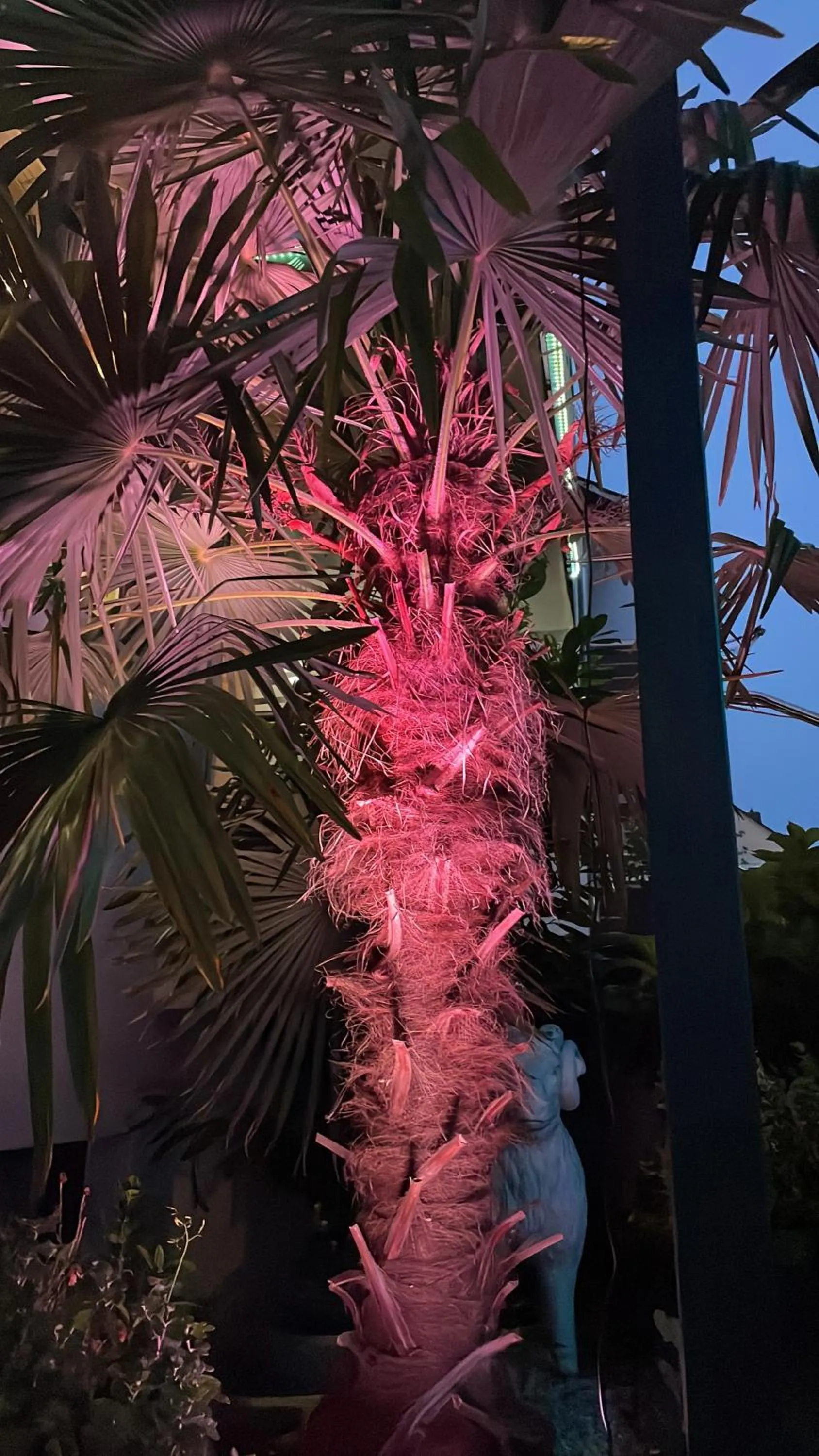 Balcony/Terrace in Hotel Royal